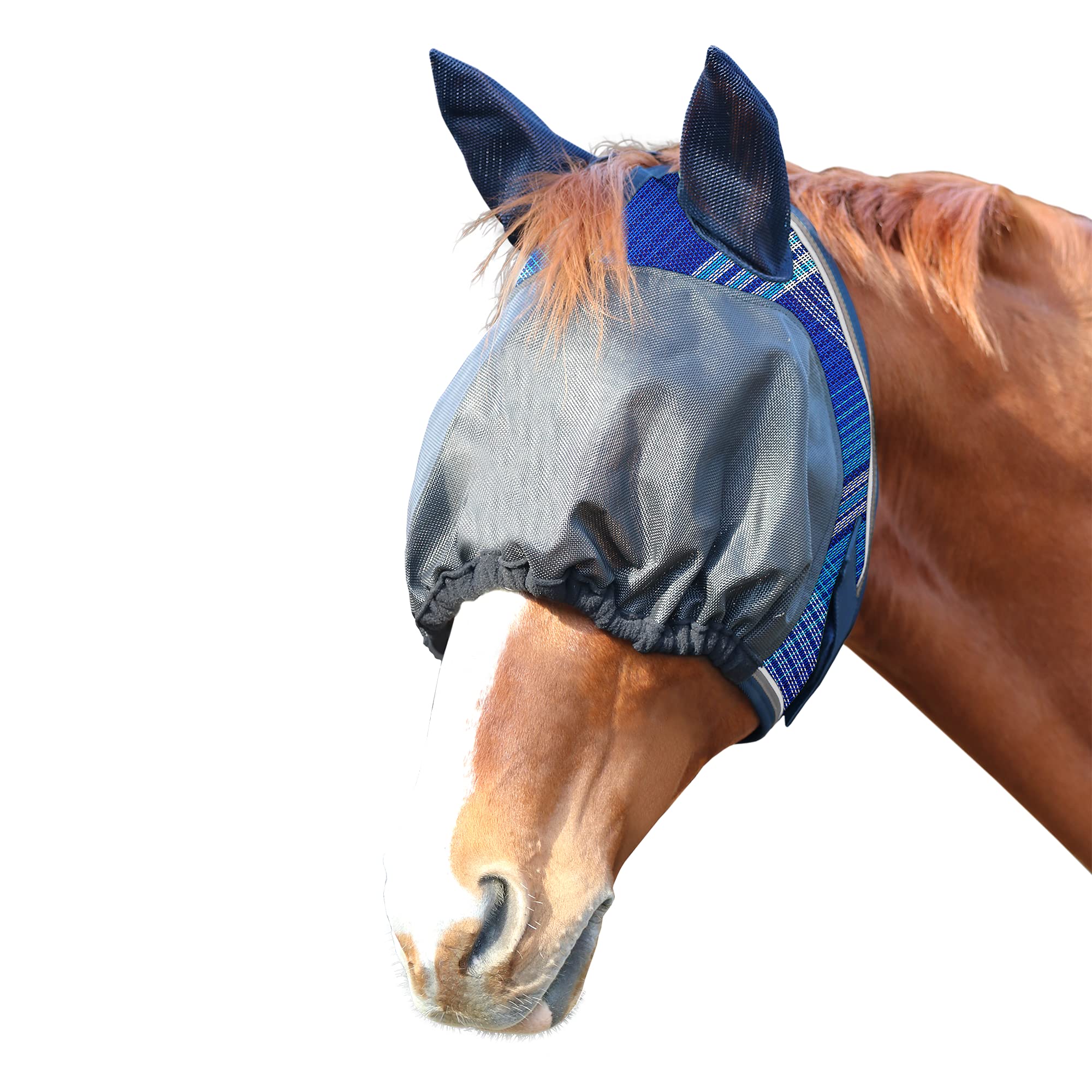 Kensington UViator Dartless Protective Fly Mask UV Eye Protection Mask for Horse with Web Trim and Soft Ears Cover - XL, Atlanti