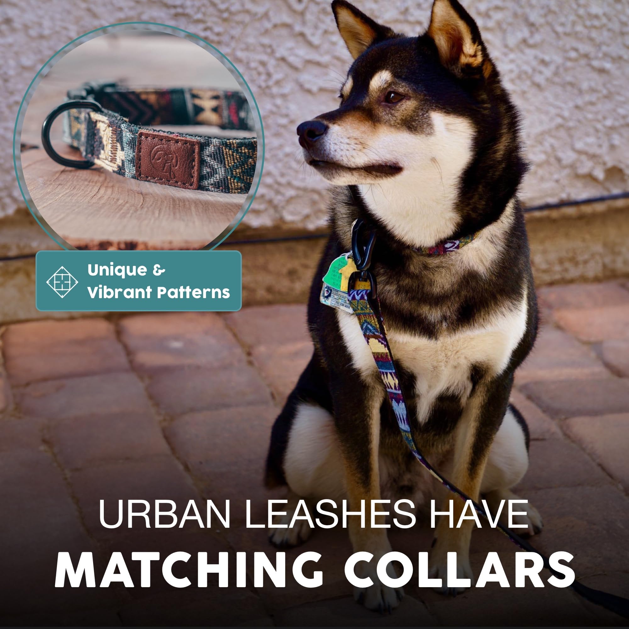 Embark Adventure Dog Leashes - Colorful, Strong And Sturdy Dog Leash For Small, Medium And Large Breed Dogs (Azure, 4 Ft)
