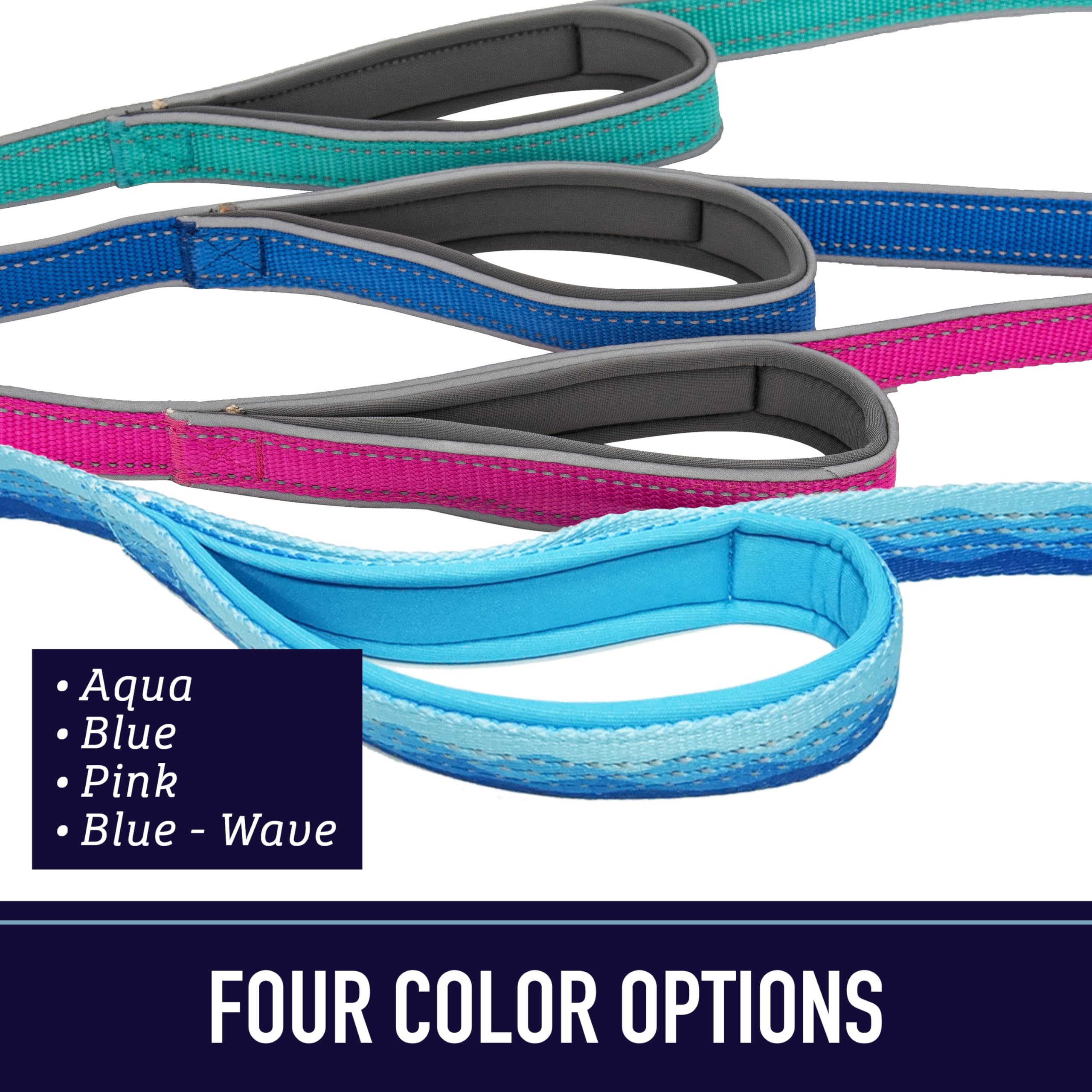 Leashboss Double Handle Dog Leash, 6 Ft Reflective Dog Leash With Two Padded Handles For Large Dogs Or Medium Dogs That Pull (Aqua)