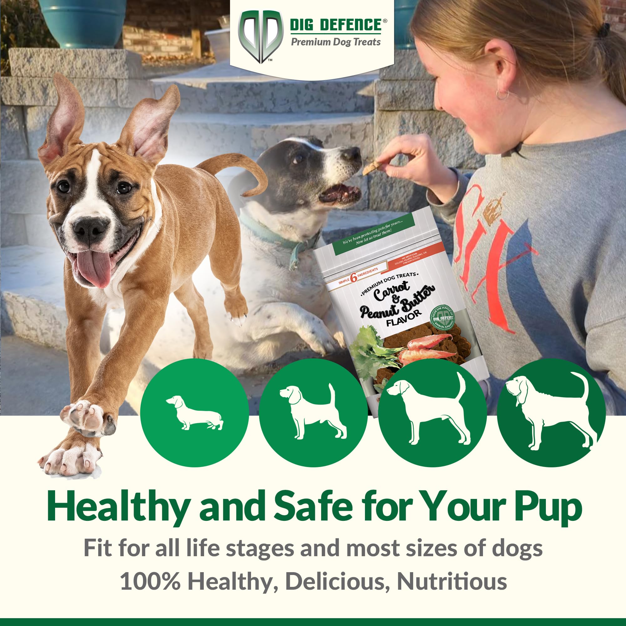 Dig Defence Premium Dog Treats - Carrot and Peanut Butter, Natural Ingredients, Baked Gourmet Snacks for Small & Big Dogs, Healt