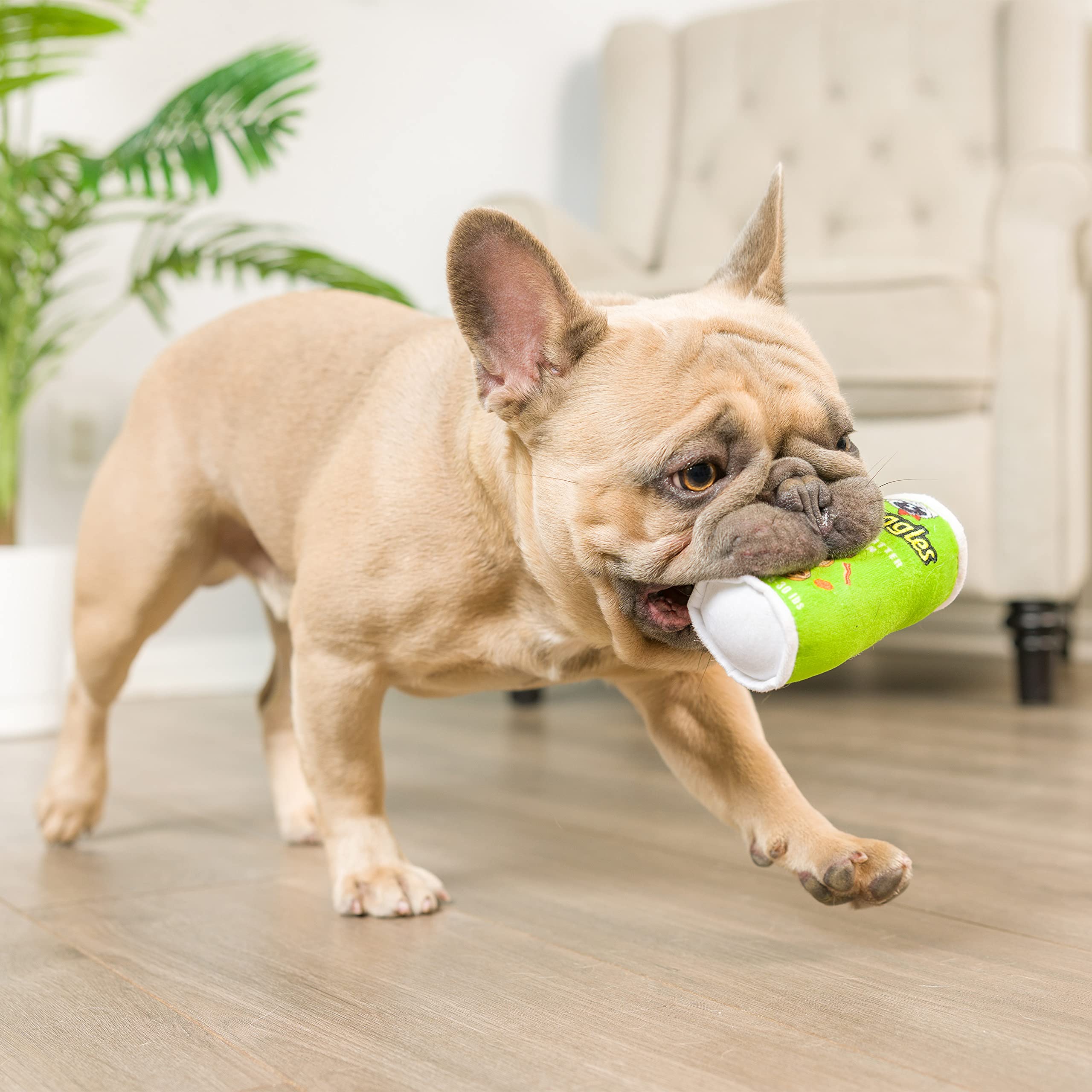 Huxley & Kent Tiny Tuff | Got Muncheez | Extra Tough Dog Toy For Small Dogs | 2-Pack Funny Dog Toy | Features Squeaker, Crinkle