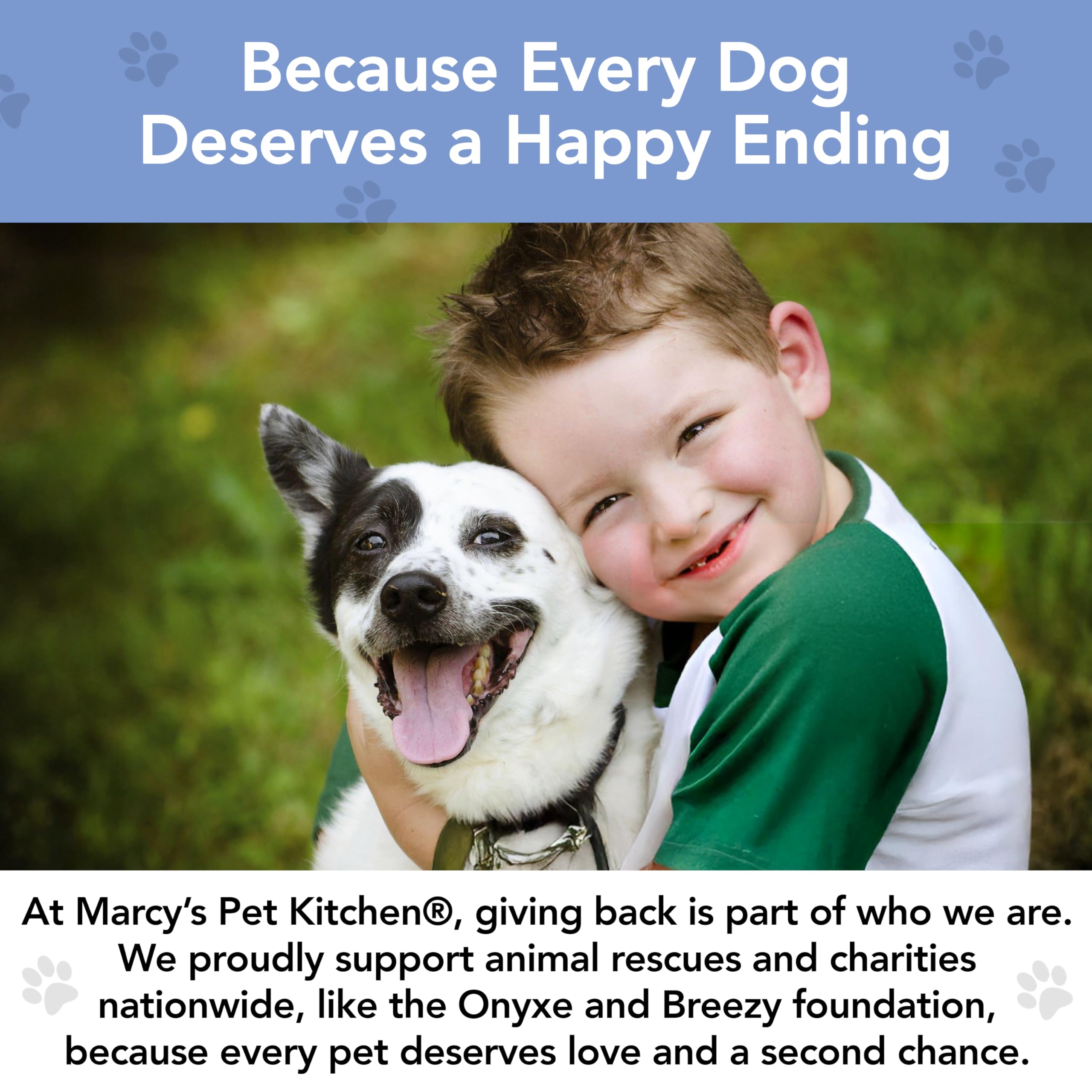 Marcys Pet Kitchen-Diabetic Dog Treats-Vet Recommend-No Preservatives - Crunchy, Superfoods, All Natural-Vegan Homemade,-Gluten