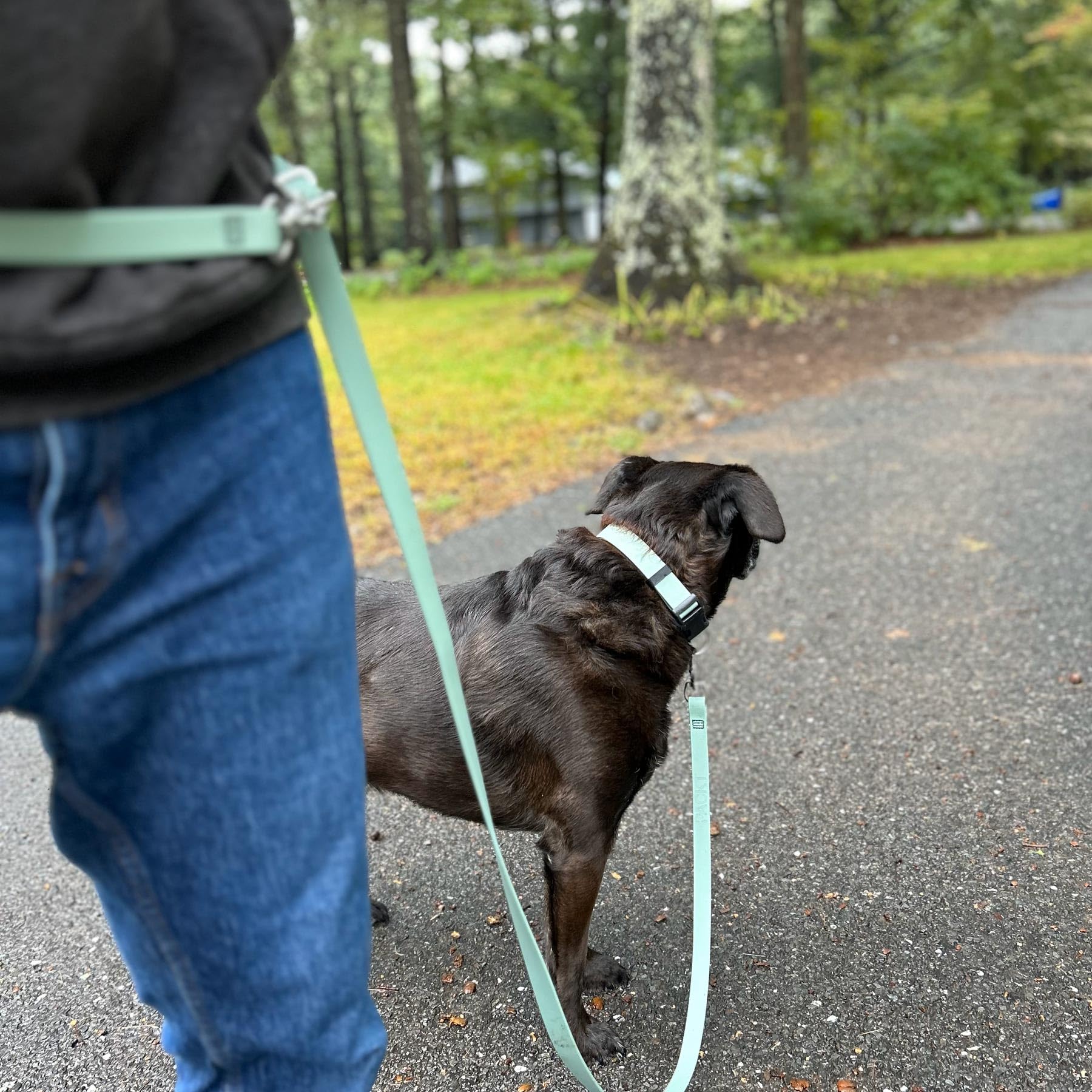 Packt - Dynamic Waterproof Hands-Free Dog Leash Large Dogs |Made In Usa, 100% Waterproof & Stronger Than Leather Dog Leash For M