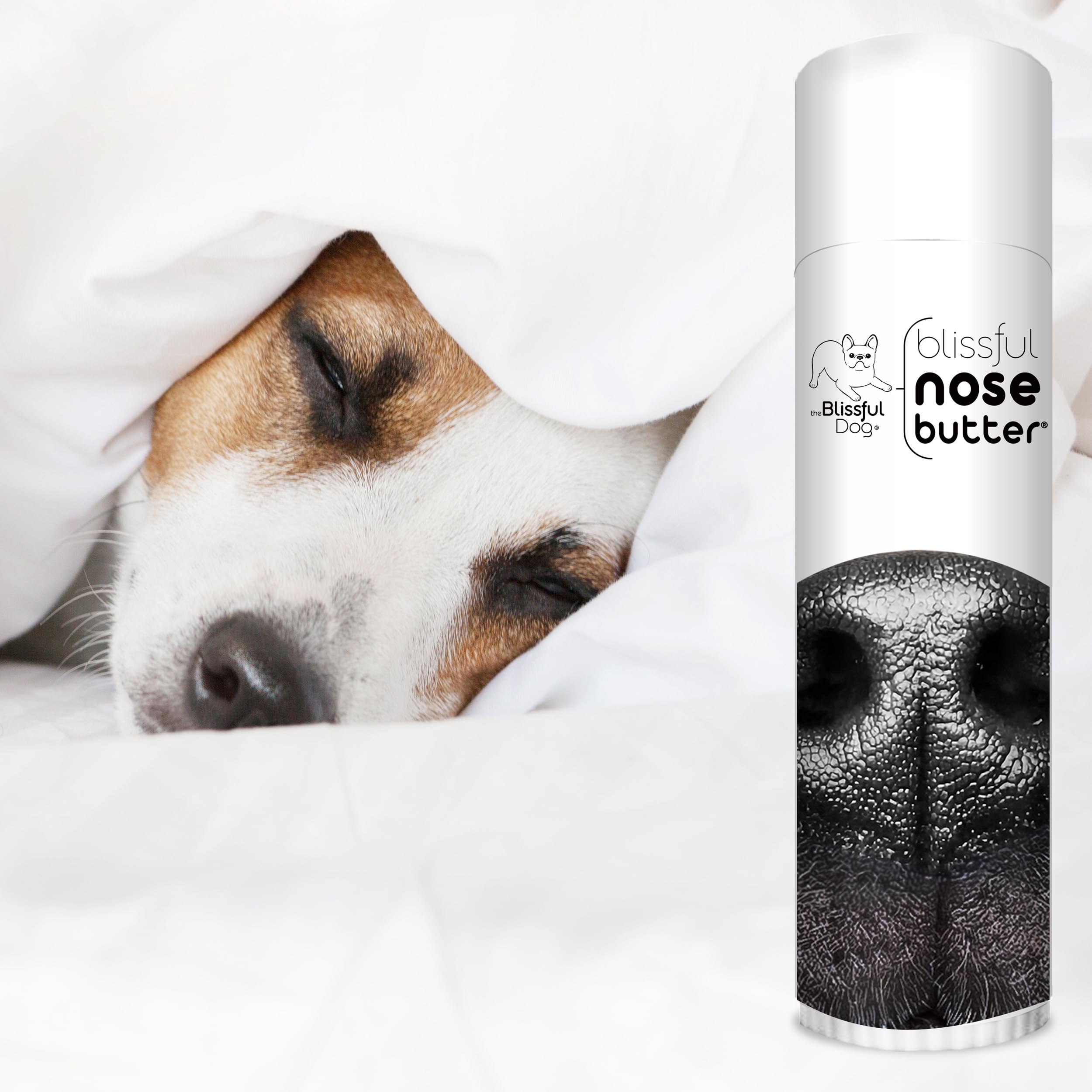 The Blissful Dog Every Dog Unscented Nose Butter