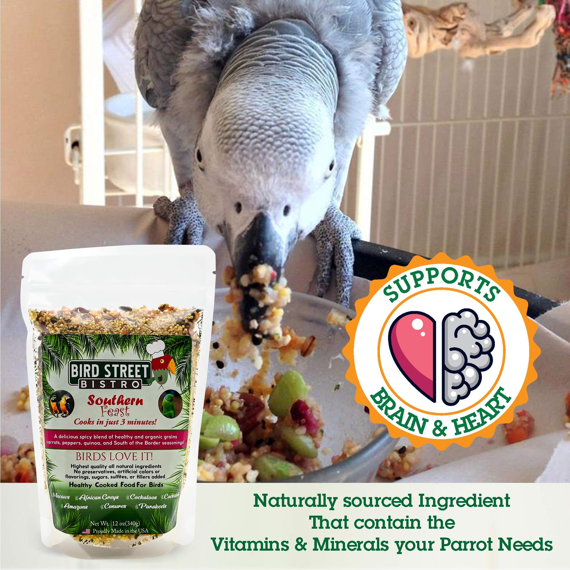 Bird Street Bistro Parrot Food Sample 4 Pack - Parakeet Food - Cockatiel Food - Bird Food - Cooks in 3-15 min w/Natural & Organi