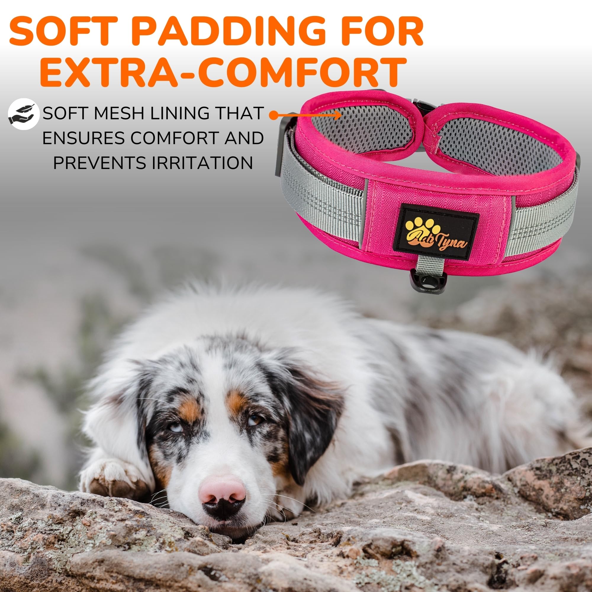 Durable 2-Inch Adjustable Dog Collar For Large Dogs - Reflective, Heavy-Duty Metal Buckle, Comfortable Mesh Lining, Includes Us