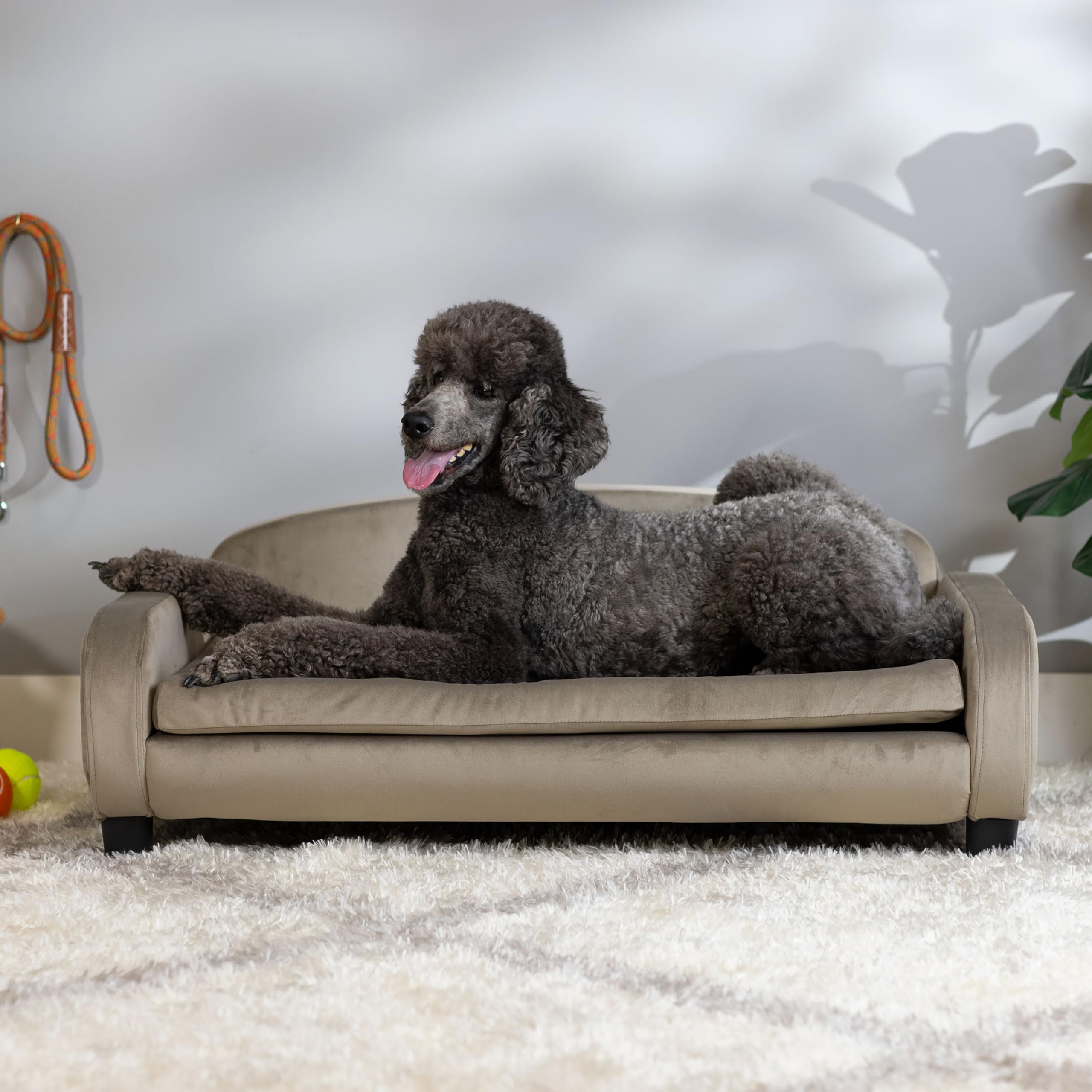 Paws & Purrs Large Dog Sofa Bed - 41.5'' Modern Pet Couch For Medium & Large Dogs With Washable Removable Cover - Stylish Elevat