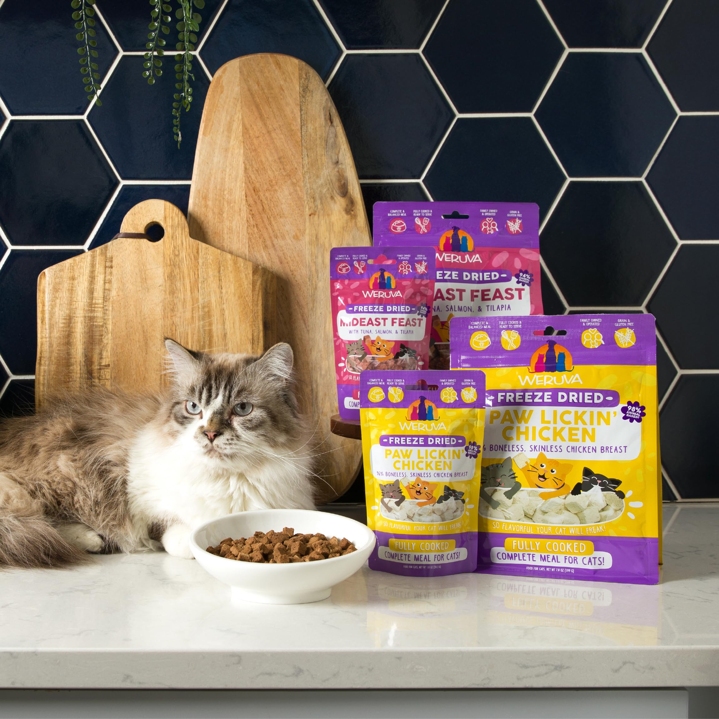 Weruva Cat Freeze Dried, Paw Lickin Chicken with Chicken Breast, 1oz Bag