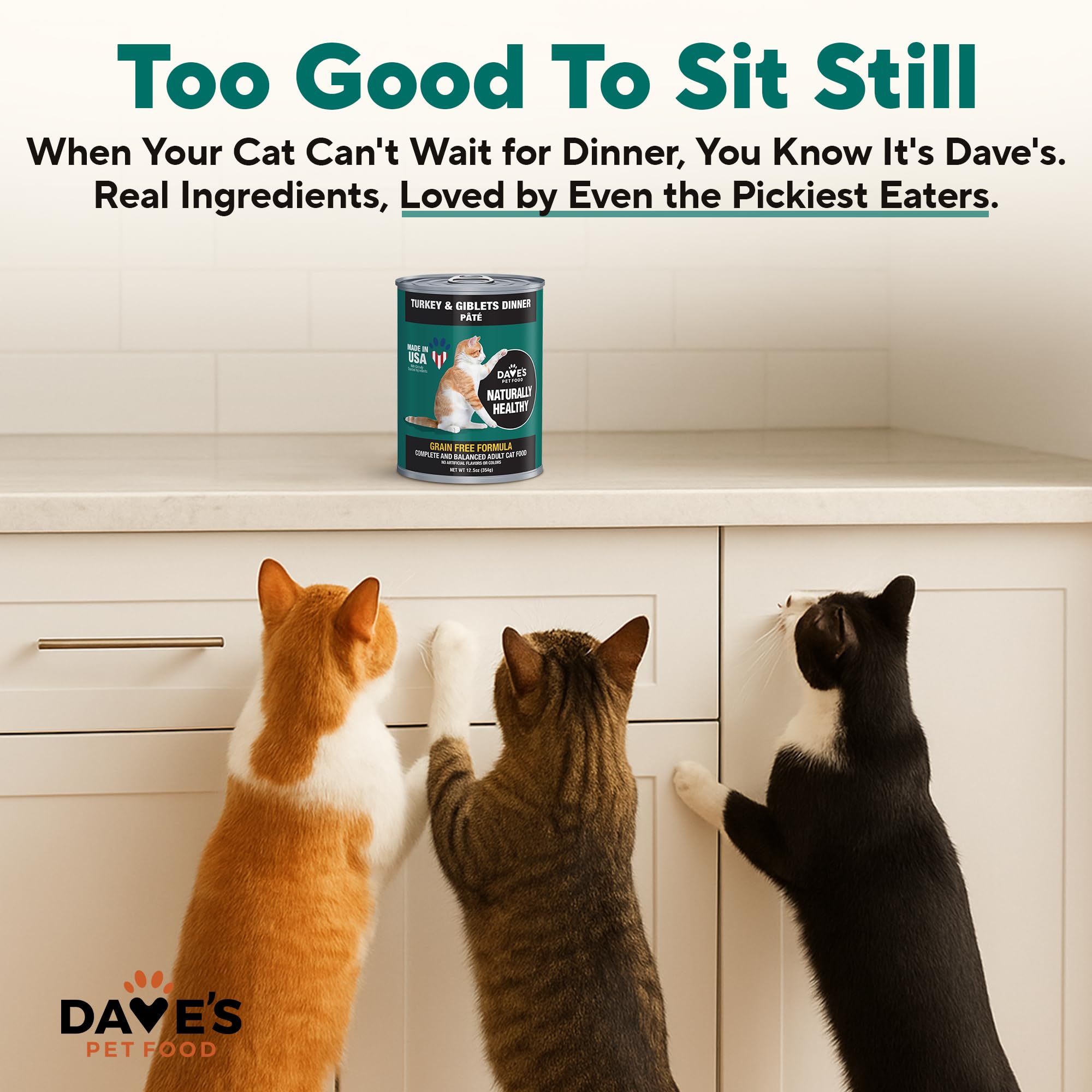 Daves Pet Food Grain Free Canned Cat Food (Turkey & Giblets Pate), Made in USA Naturally Healthy Canned, Canned Pate, 12.5 oz C
