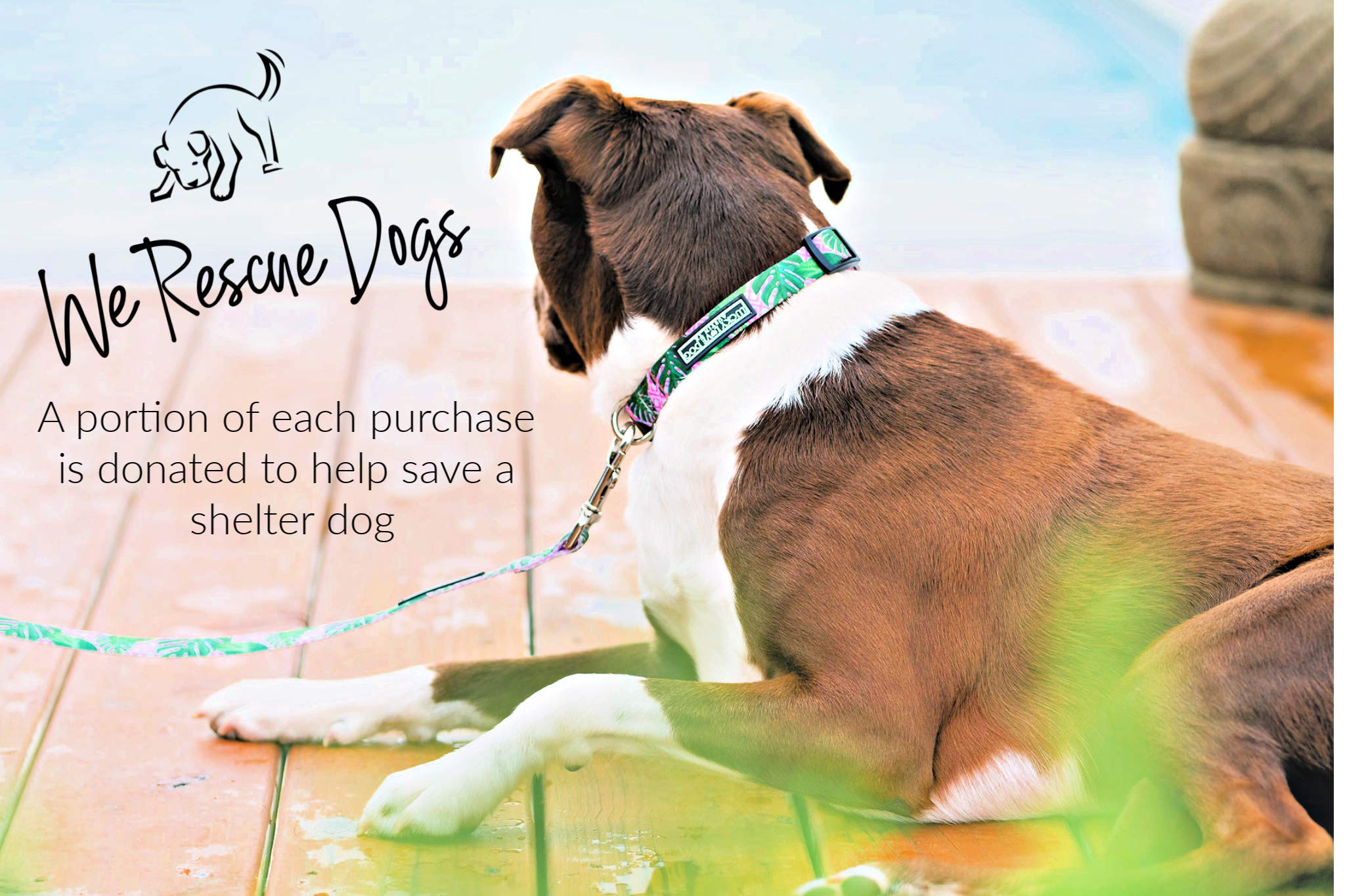 Lucky Love Dog, Tropical Dog Collar For Female Male Dogs, Comfortable & Soft, Vivid Pink Dog Collar - (X-Small, Laguna Collar)
