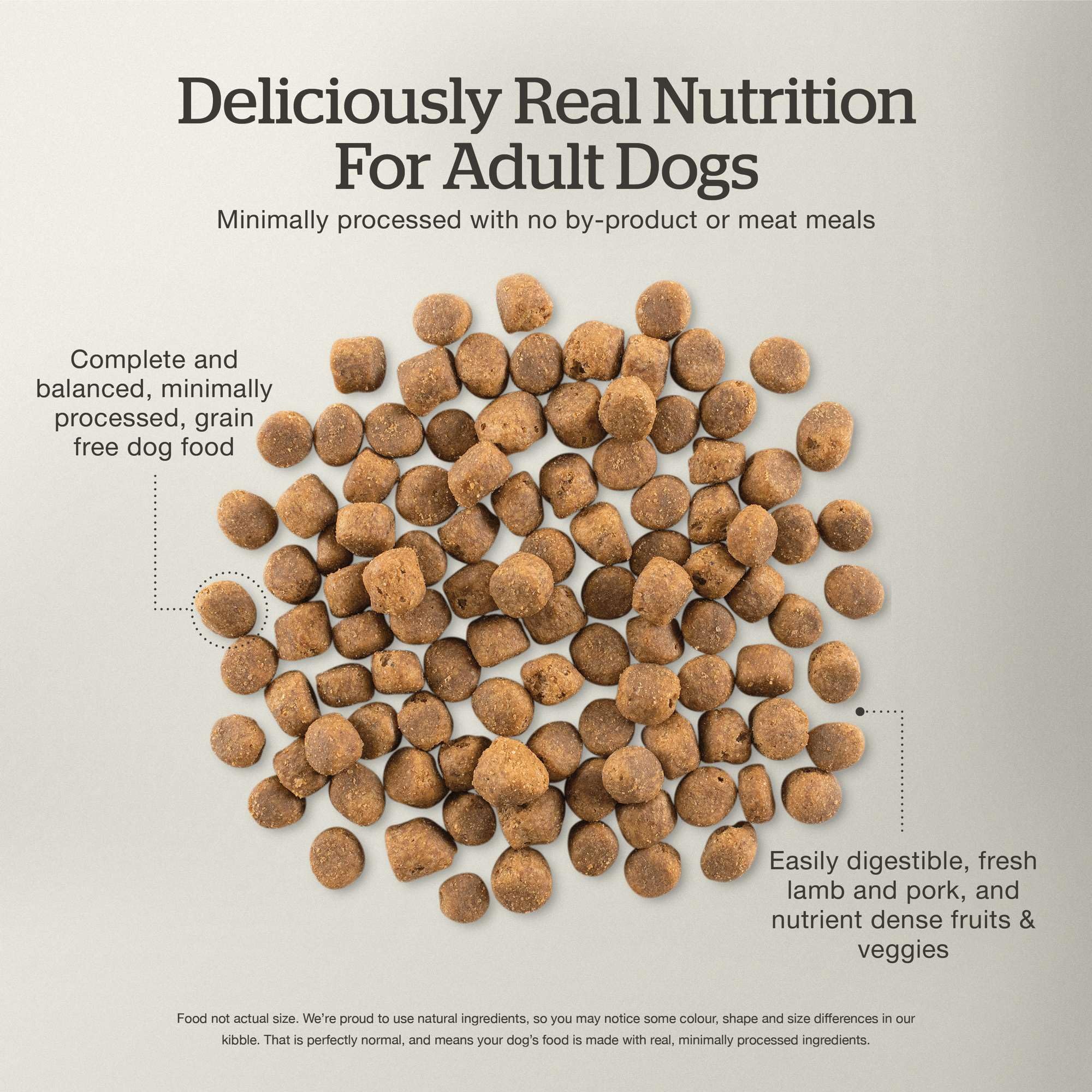 Now Fresh Grain-Free Dry Dog Food, Lamb & Pork, 22 lb Bag, Healthy Kibble for Adults, Chicken-Free, with Pumpkin & Probiotics