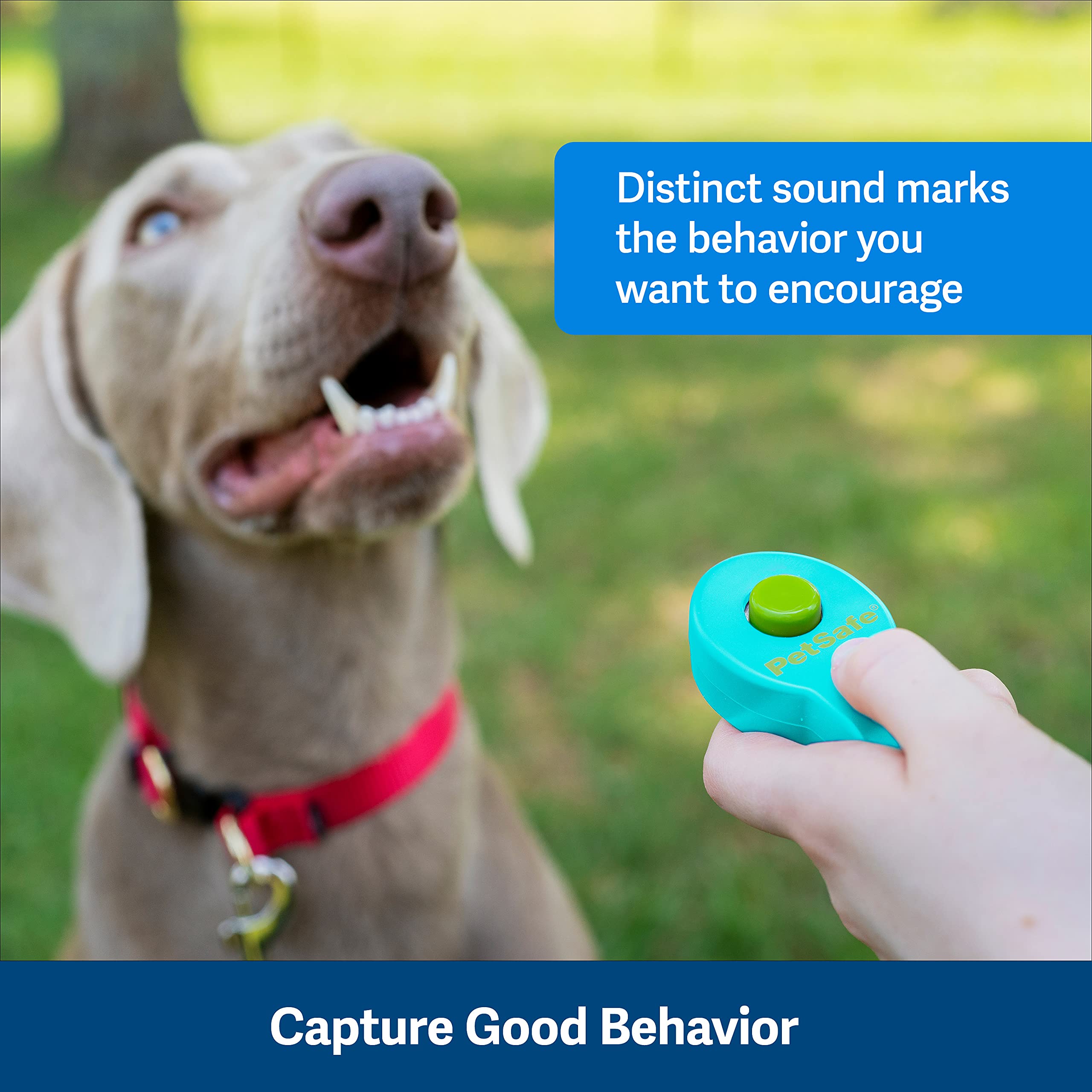 Petsafe Clik-R Dog Training Clicker - Positive Behavior Reinforcer For Pets - All Ages, Puppy And Adult Dogs - Use To Reward And