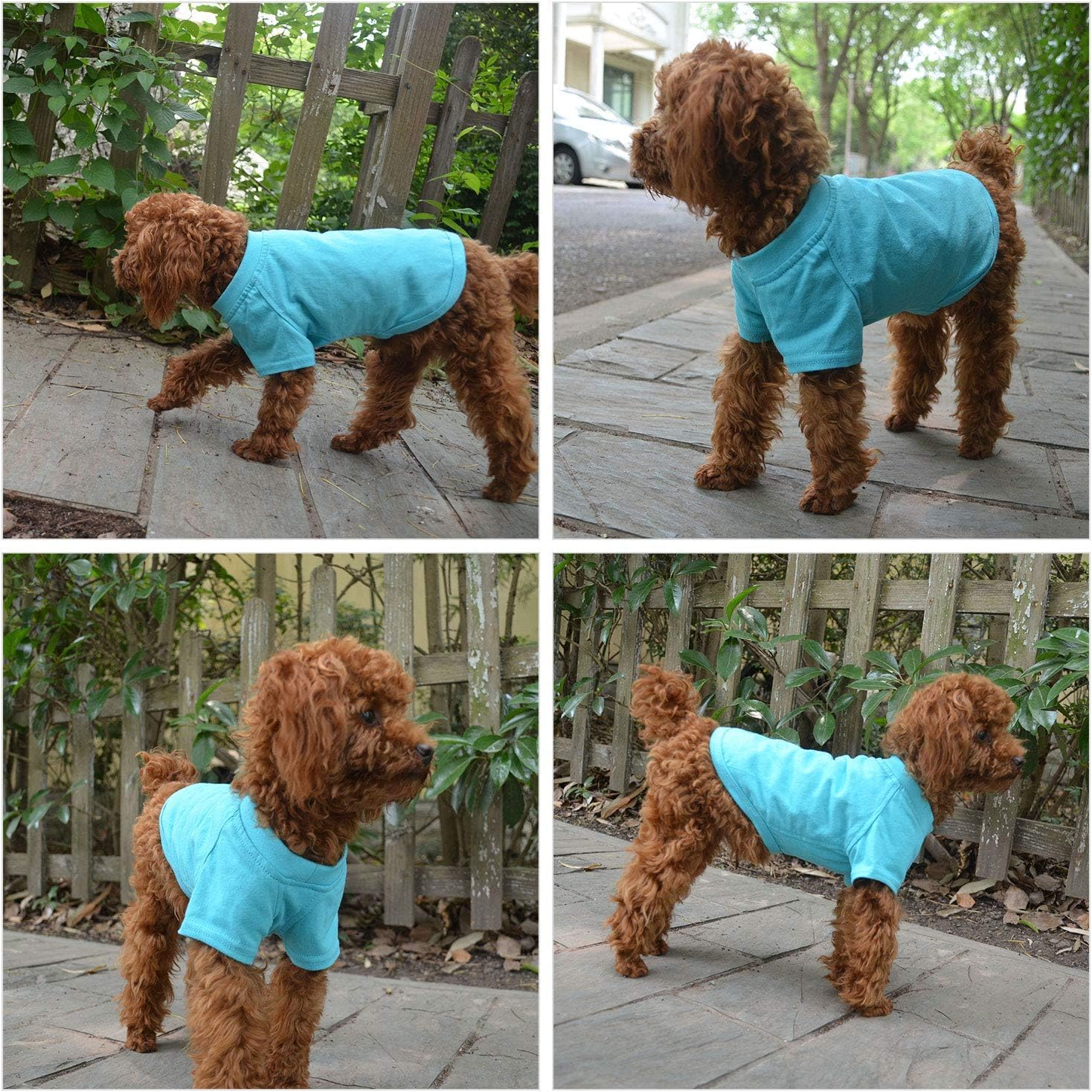 Lovelonglong 2019 Pet Clothing Dog Costumes Basic Blank T-Shirt Tee Shirts For Large Dogs Turquoise Xxxxl