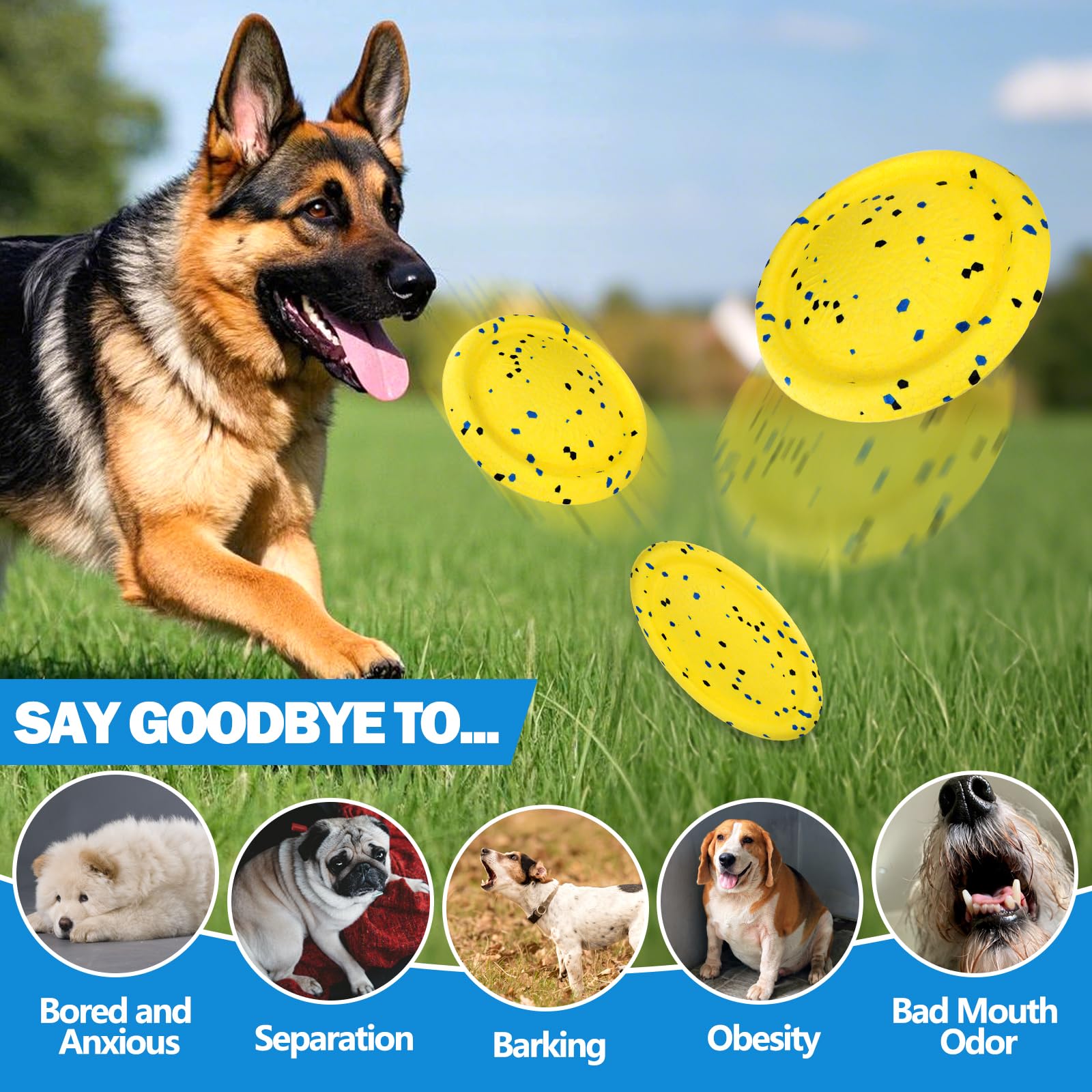 Floating Dog Toys -E-Tpu Water Pool Fetching Toy With Rope For Small Medium Large Pet, Ring And Plate Shape Indestructible Inter