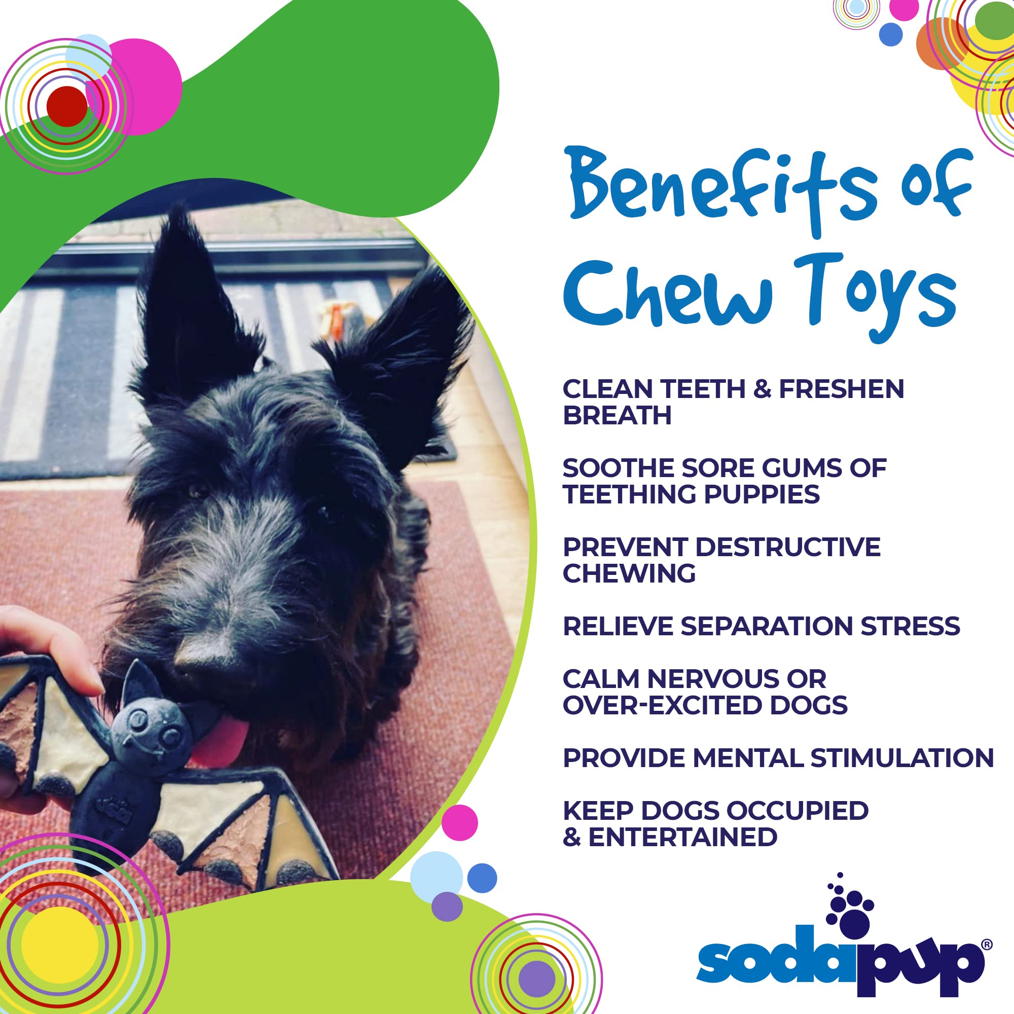 SodaPup Vampire Bat - Durable Dog Chew Toy Made in USA from Non-Toxic, Pet Safe, Food Safe Nylon Material for Mental Stimulation