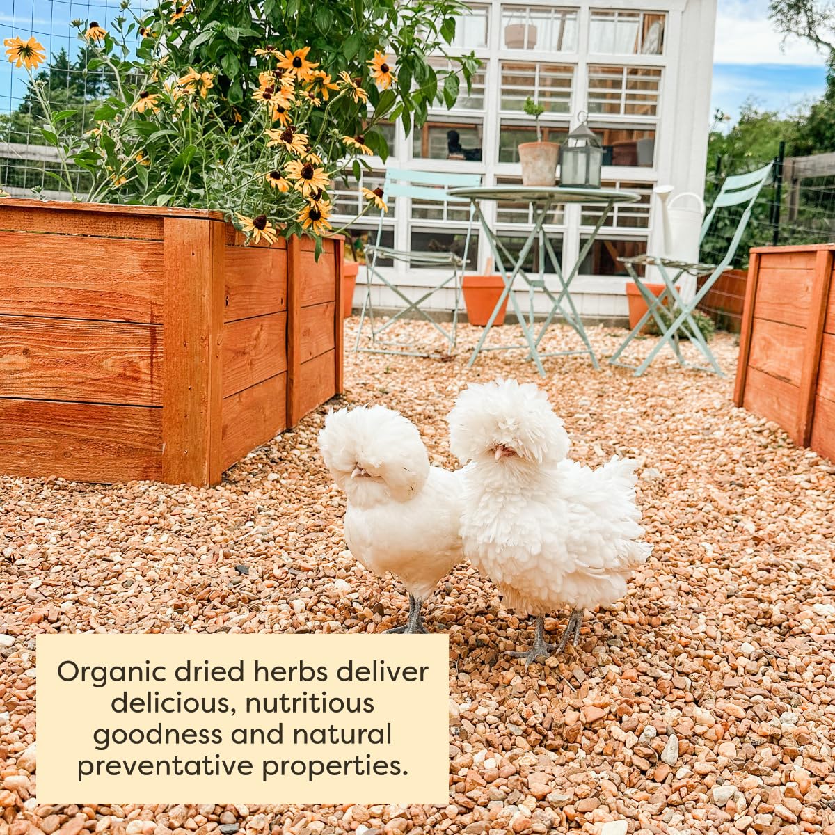 Scratch and Peck Feeds Cluckin Good Organic Herbs - 10 Ounce - Supplemental Bird Treats for Chickens and Ducks - Certified Orga