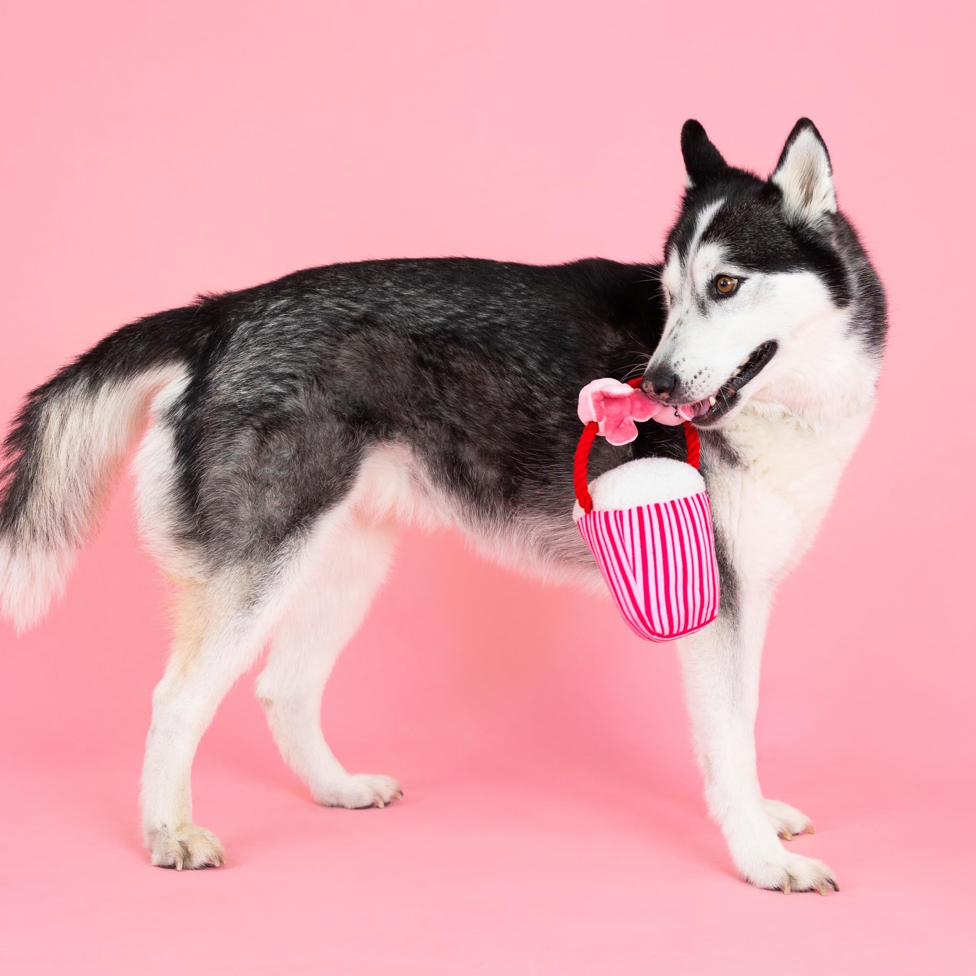 Fringe Studio Plush Dog Toy, My Heart Pops For You, Pet Shop Collection (314314)