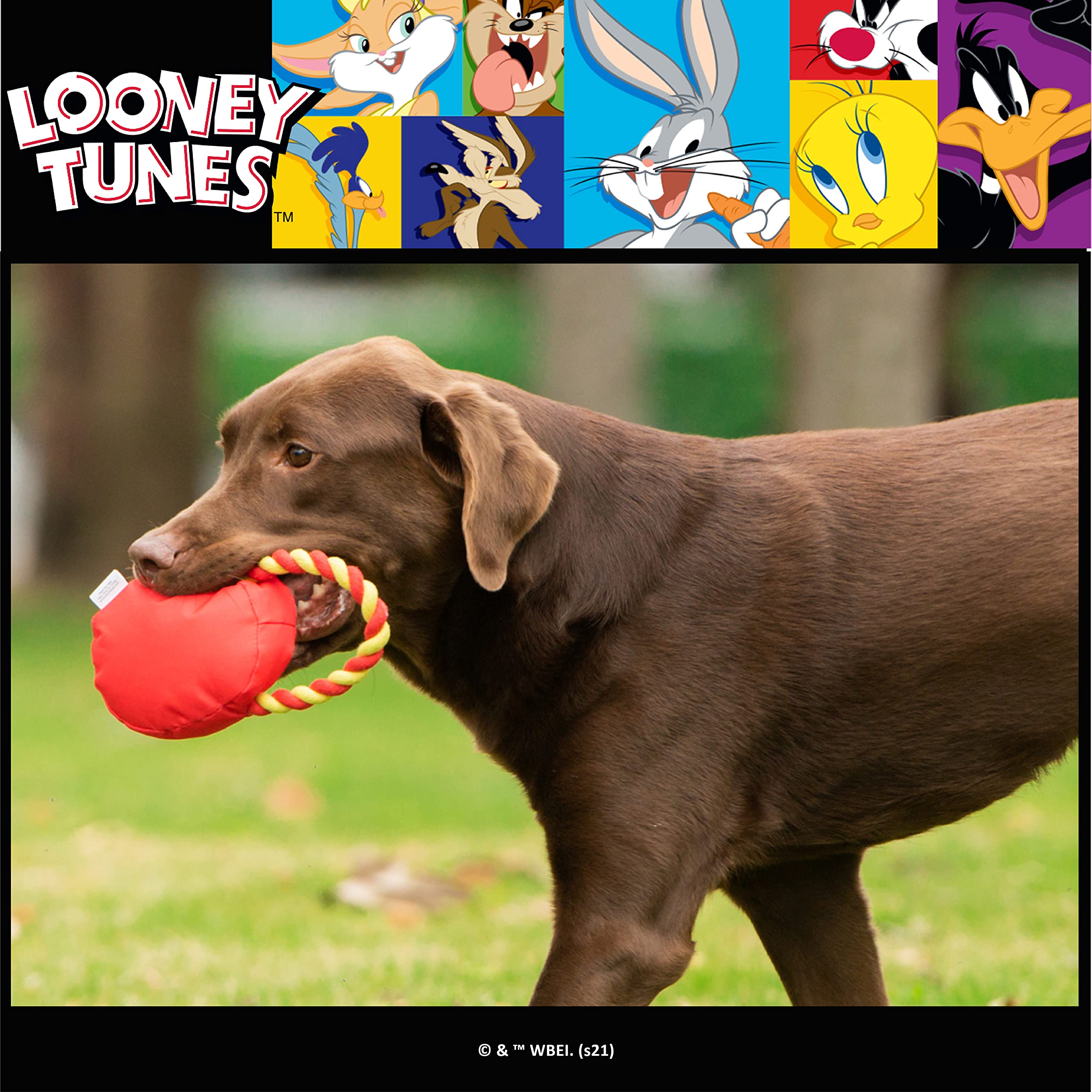 Looney Tunes For Pets Porky Pig Rope Head Stuffed Dog Toy For All Dogs | Red And Yellow Character Plush Fabric Toy For Dogs | Cute Rope Canvas Dog Toy