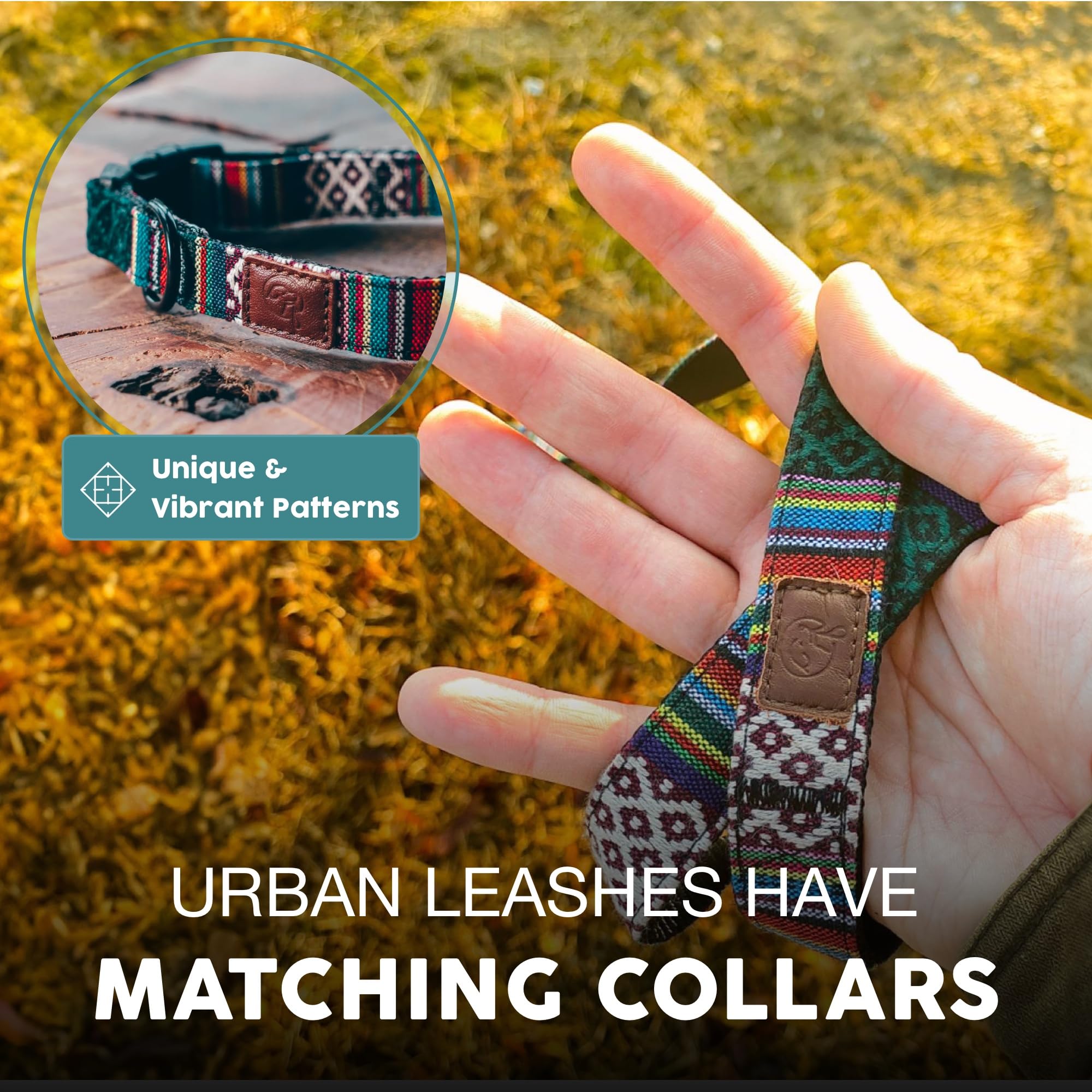 Embark Urban Dog Leashes - Colorful, Strong And Sturdy Nylon Dog Leashes For Small Dogs, Dog Leashes Medium Dogs And Dog Leashes Large Breed Dogs, Heavy Duty Dog Leash (Mayan, 4 Ft Dog Leash)