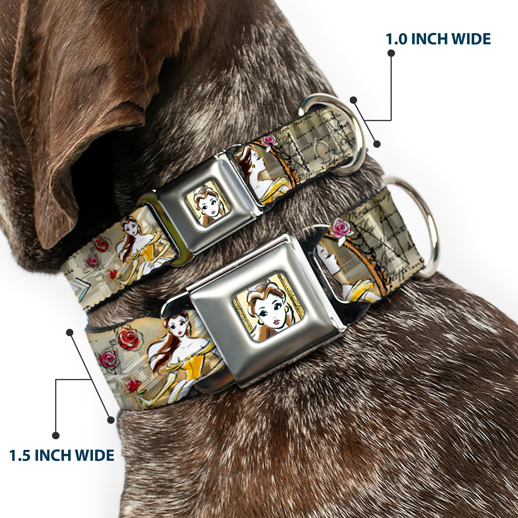 Buckle-Down Seatbelt Buckle Dog Collar - Belle Sketch Poses/Story Script - 1'' Wide - Fits 11-17'' Neck - Medium