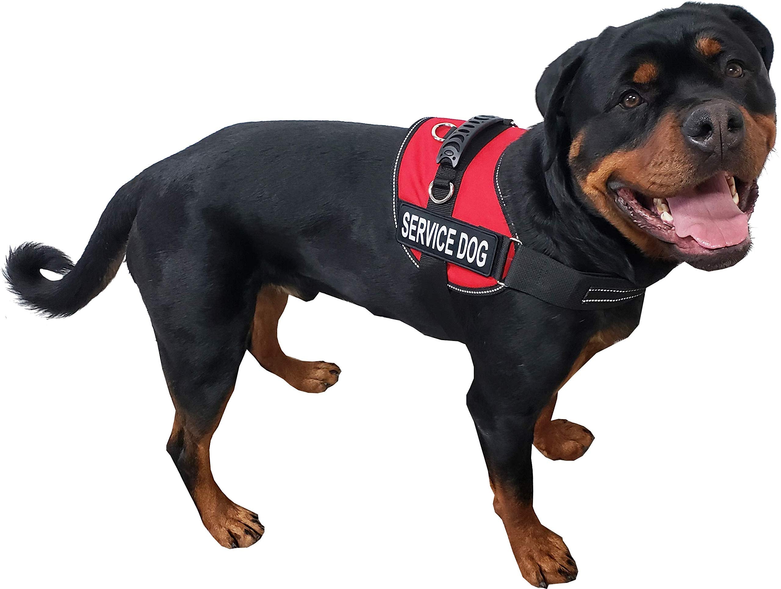 Activedogs Air-Tech Service Dog Vest Harness, Small Girth 19'-24' W/Handle, Ada Cards + Reflective Service Dog Patches - Red
