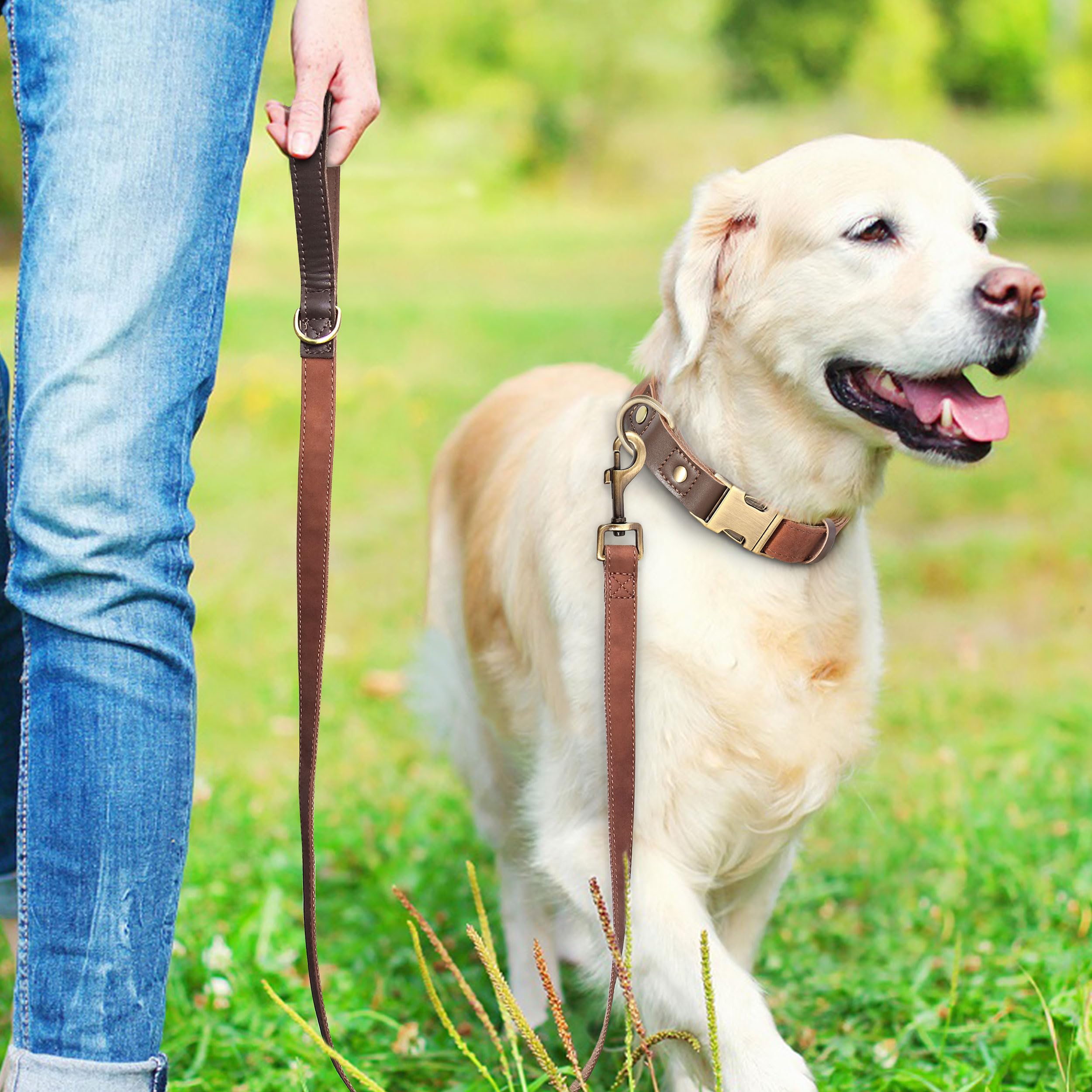 Didog Soft Padded Leather Dog Collar For Large Dogs, Classic Heavy Duty Dog Collar Adjustable With Quick Release Metal Buckle,Br