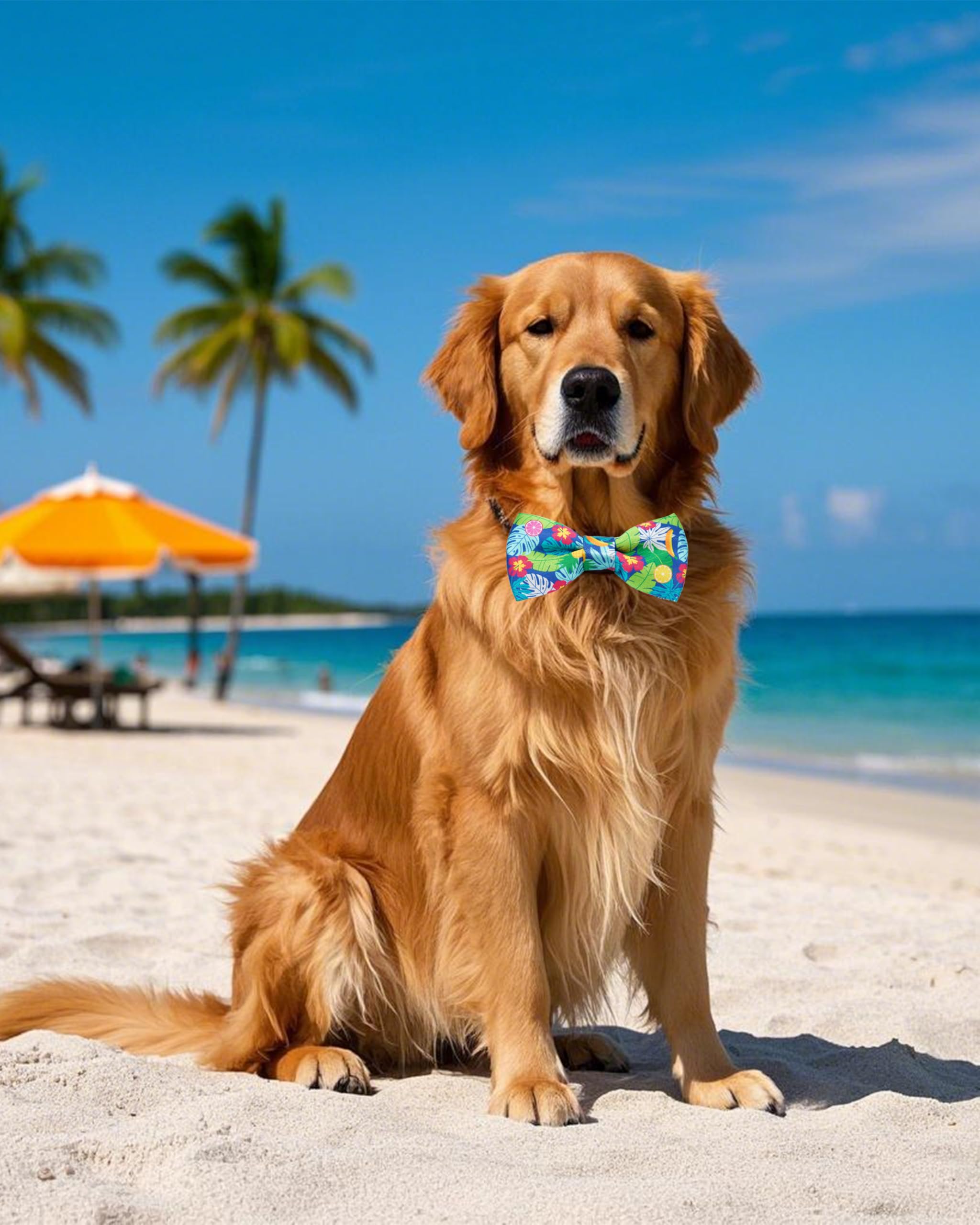PET SHOW 10 Pack Summer Big Dog Bow Ties for Large Medium Dogs Sliding Collar Attachments Hawaiian Bowties Floral Fruit Bowknots