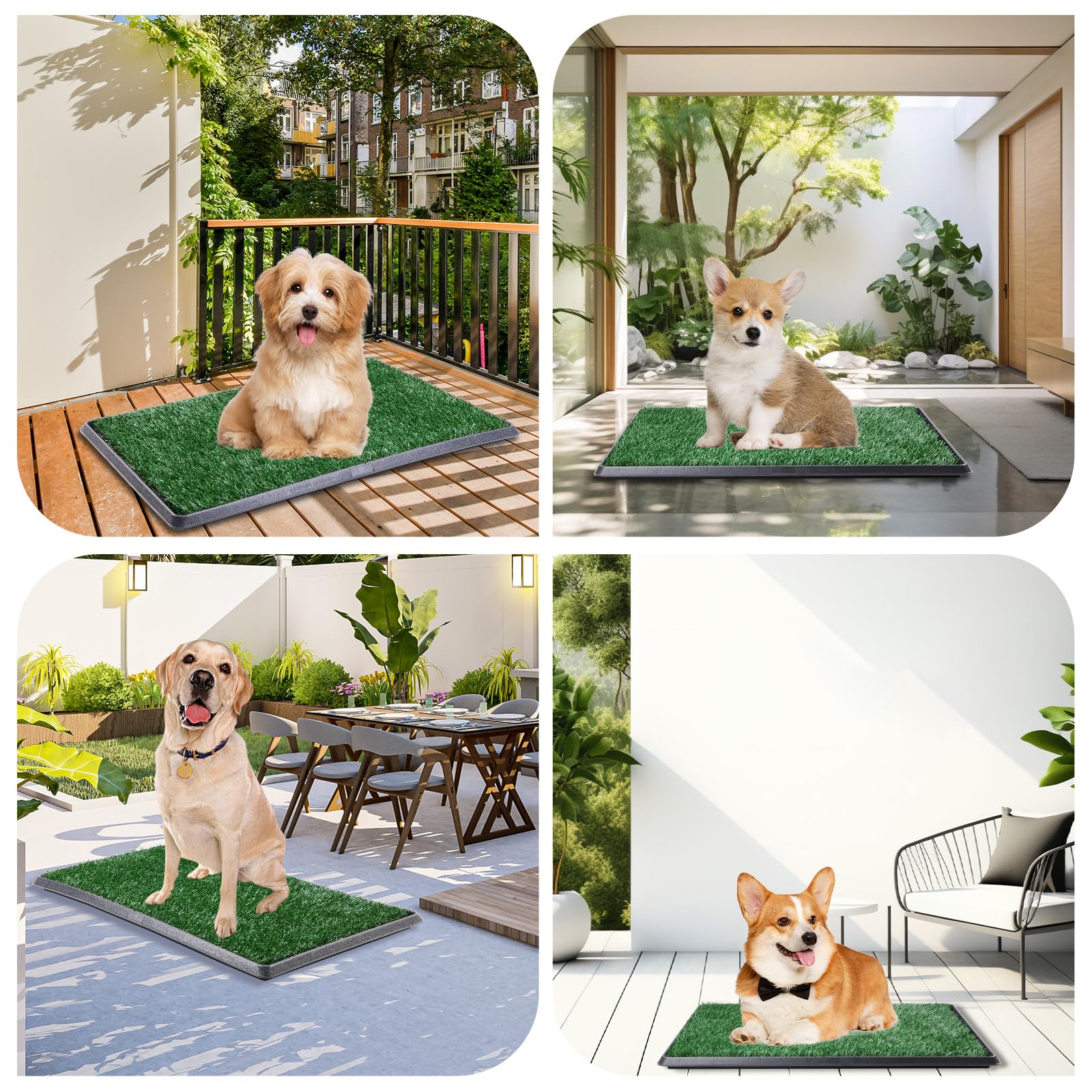 Loobani Dog Grass Pad With Tray Large Dog Litter Box, Indoor Potty For Apartment And Patio Training, With 2 Packs Fake Grass Pee