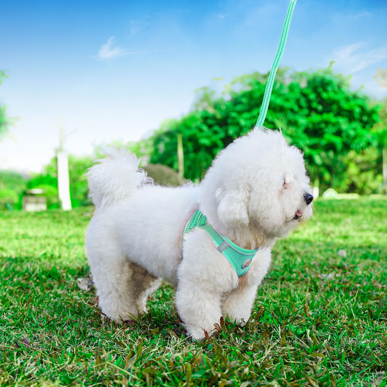 Hipubby Dog Harness and Leash Set, No Pull Soft Mesh Puppy Harness for Small Medium Dogs, Cats - Step in Reflective Breathable L