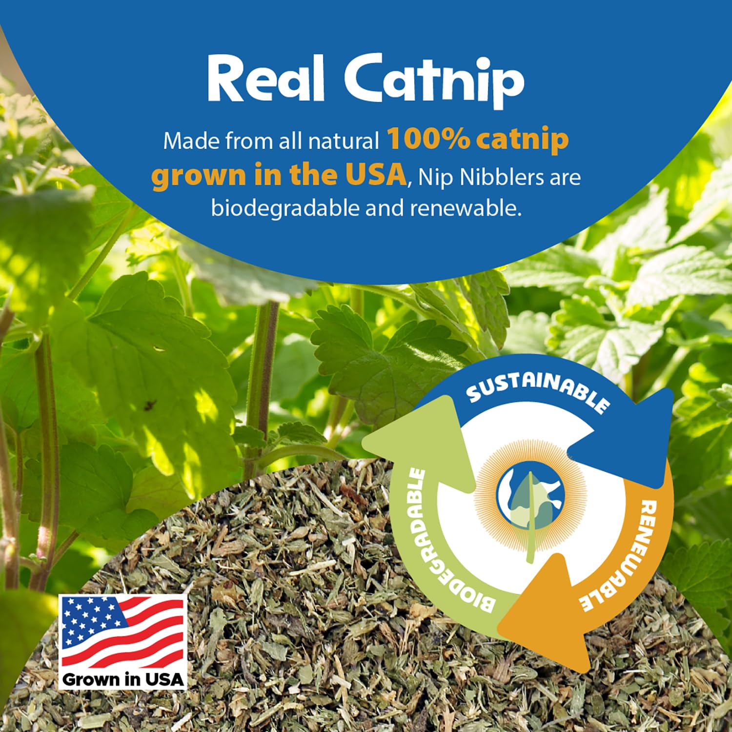 Pioneer Pet Nip Nibblers Catnip Toy – 3 Pack – Catnip Filled Toys For Indoor Cats -Teething Toy For Kittens That Bite And Chew