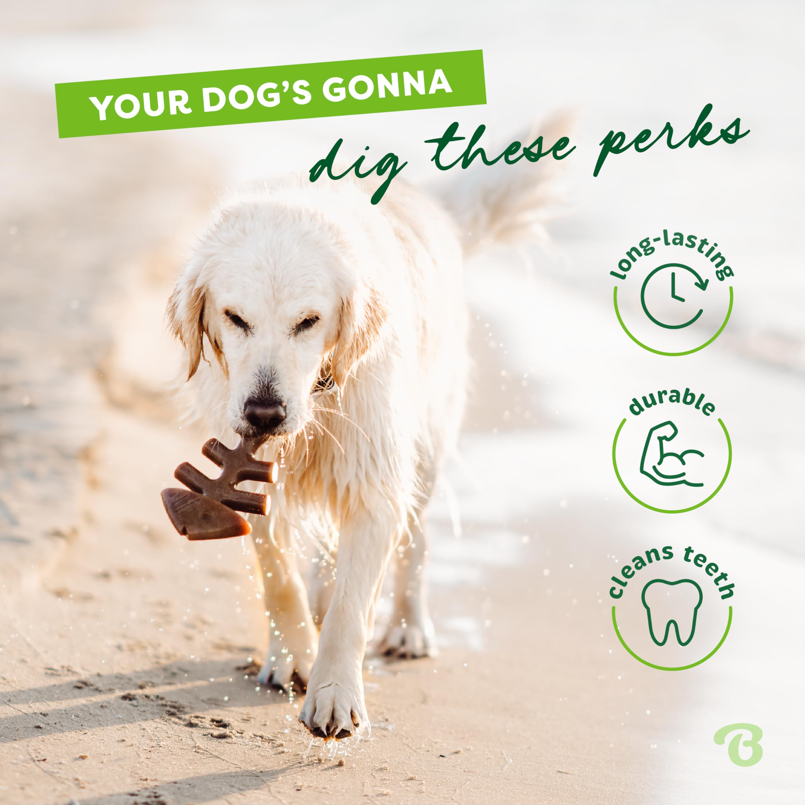 Benebone Tiny 2-Pack Fishbone Durable Dog Chew Toys, Real Fish Flavor, Made In Usa