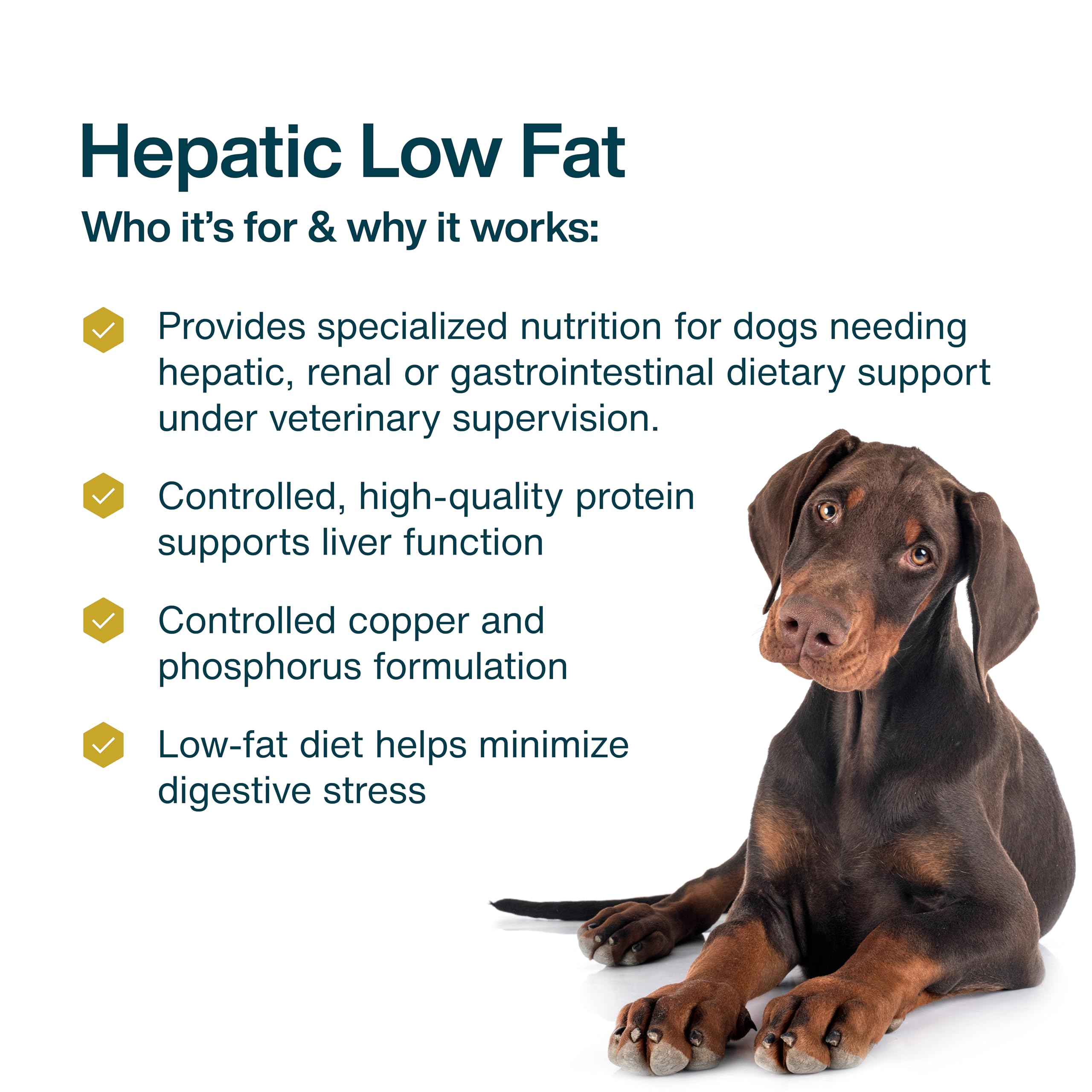 JustFoodForDogs Pantry Fresh Wet Dog Food for Liver Health, Rx Hepatic Low Fat Support, Human Grade - 12.5 oz (Pack of 12)