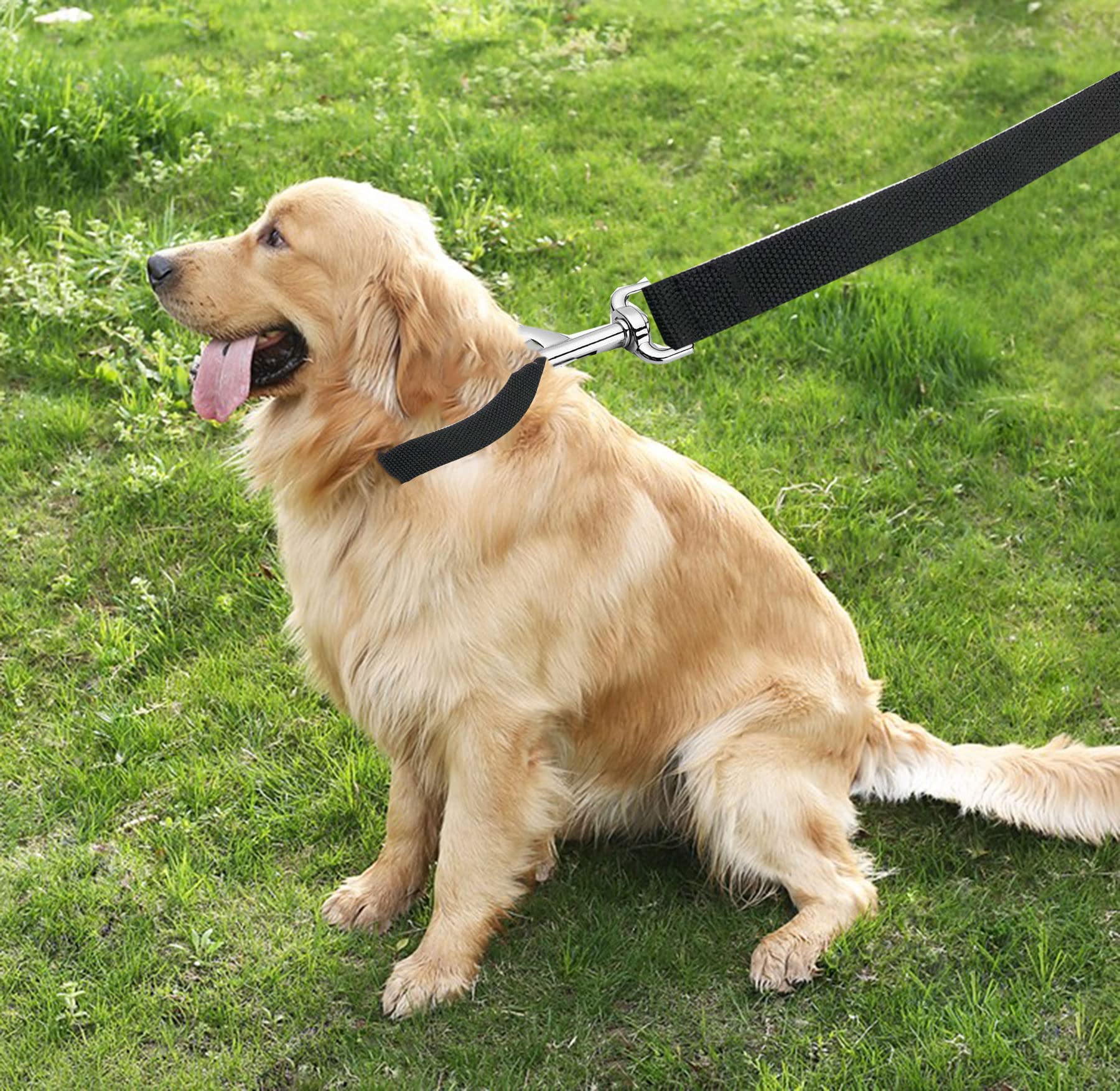 Taian 4Ft/5Ft/6Ft Strong Dog Leash, Nylon Dog Leashes For Small Medium Large Dogs (Black, 1 In X 10 Ft)