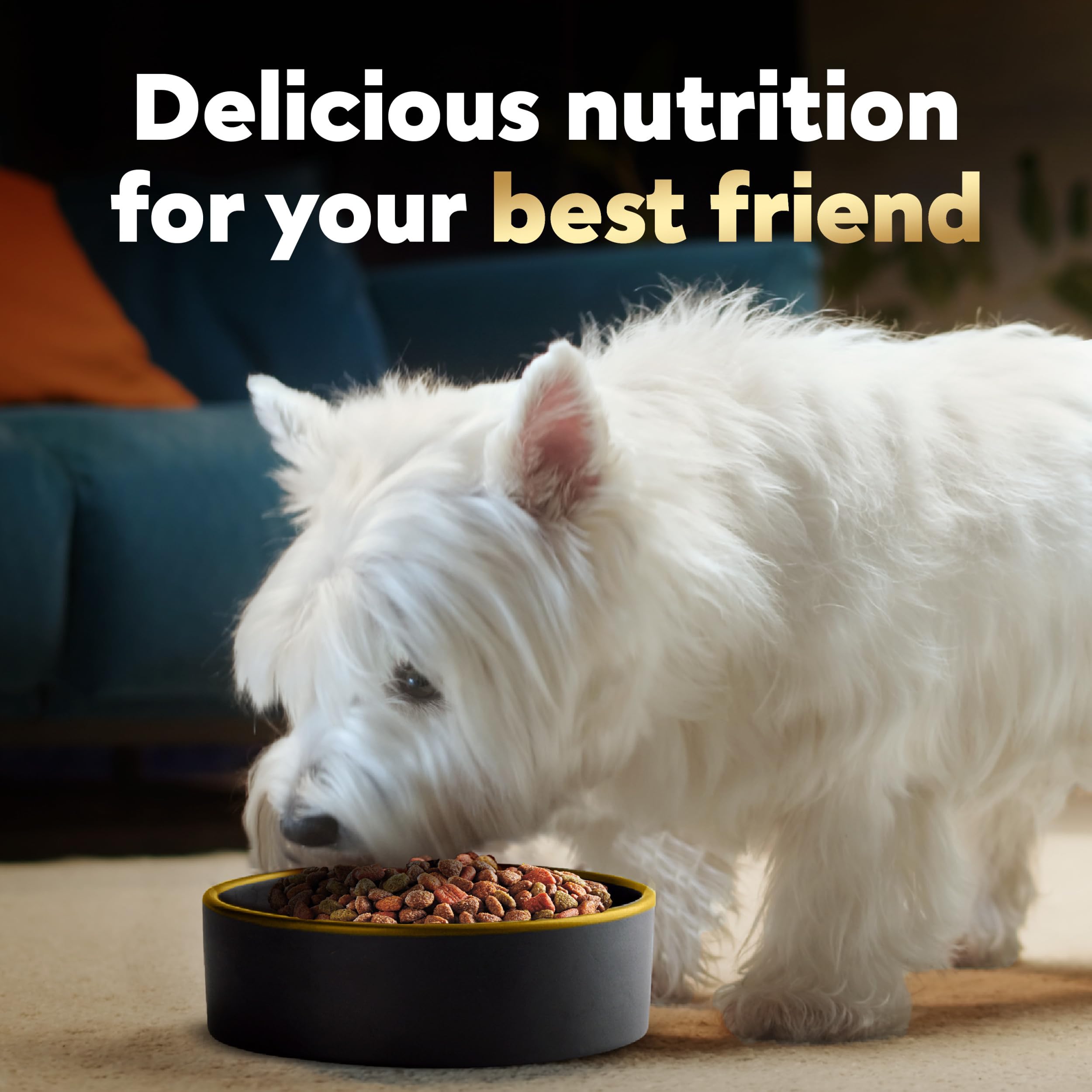 CESAR Adult Small Breed Dry Dog Food, Filet Mignon Flavor with Spring Vegetables Garnish, 5 lb. Bag