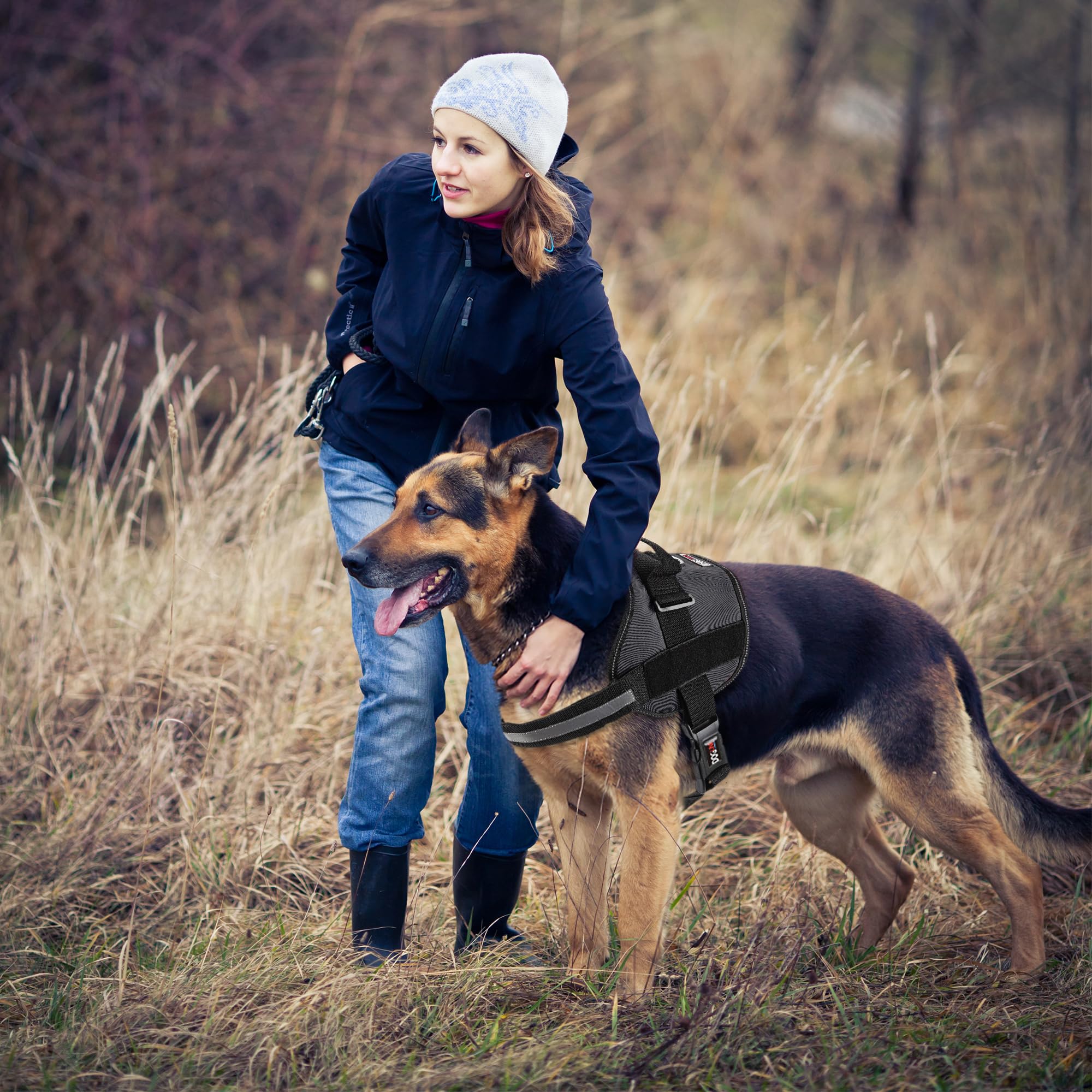 Dog Harness, Reflective No-Pull Adjustable Vest With Handle For Walking, Training, Service Breathable No - Choke Harness For Small, Medium Or Large Dogs Room For Patches Girth 15 To 19 In Black
