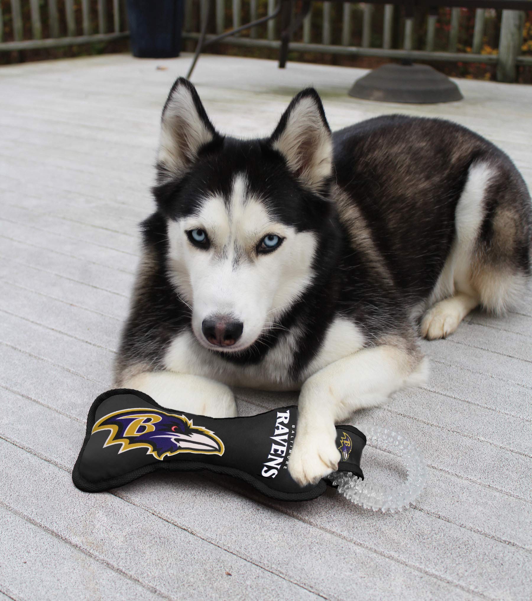 Pets First NFL Baltimore Ravens Dental Dog TUG Toy with Squeaker. Tough PET Toy for Healthy Fun, Teething & Cleaning Pet's Teeth