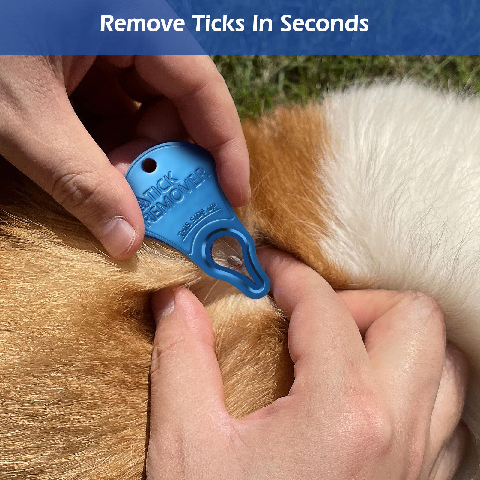 3 Pack Tick Remover Tool For Pets And Humans, Portable Tick Removal, Safe And Fast, Essential And Emergency Tool For Outdoor Activities, Effective And Painless