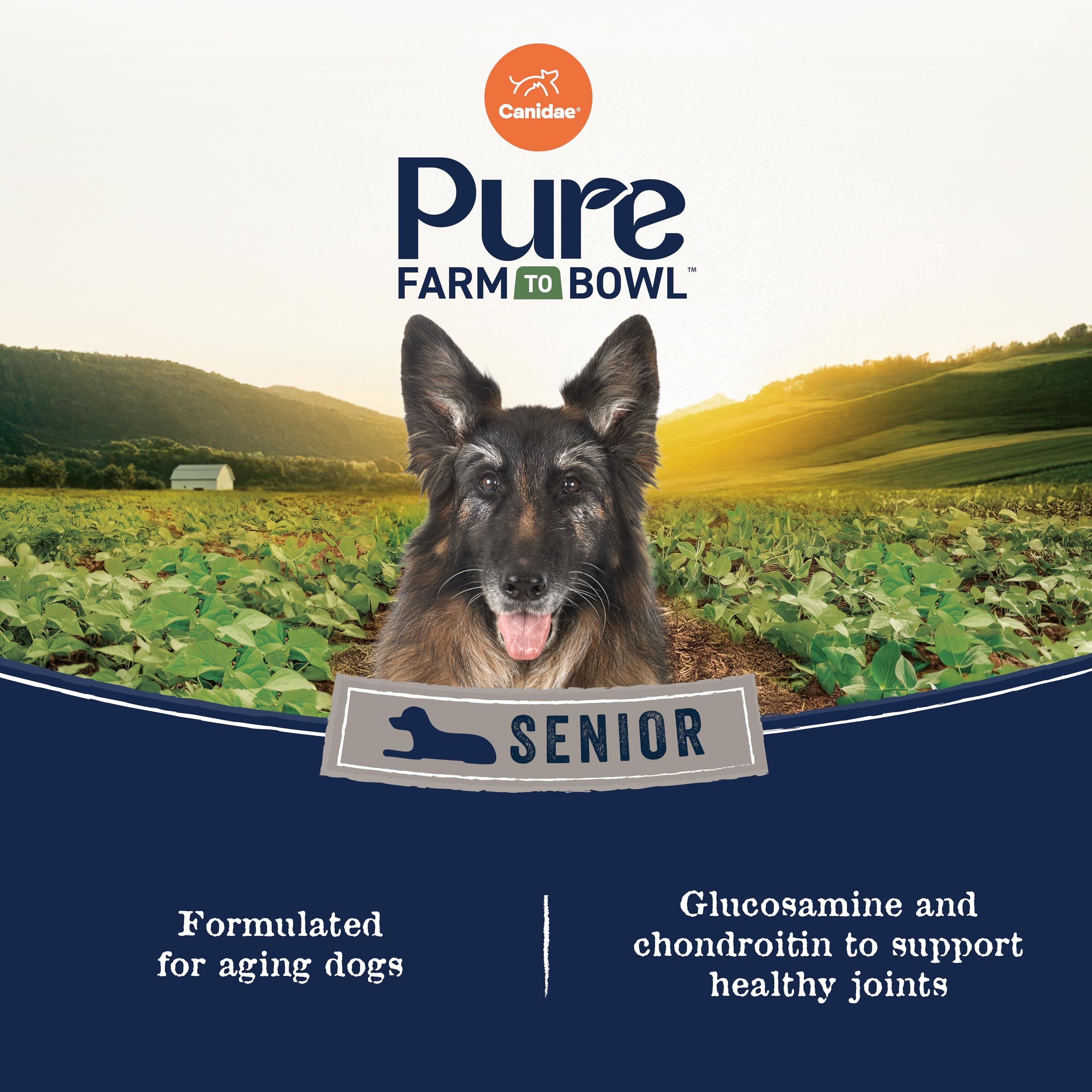 Canidae Pure Farm to Bowl Free-Range Chicken, Sweet Potato & Garbanzo Bean Grain-Free Senior Dog Food, Adult 12lb