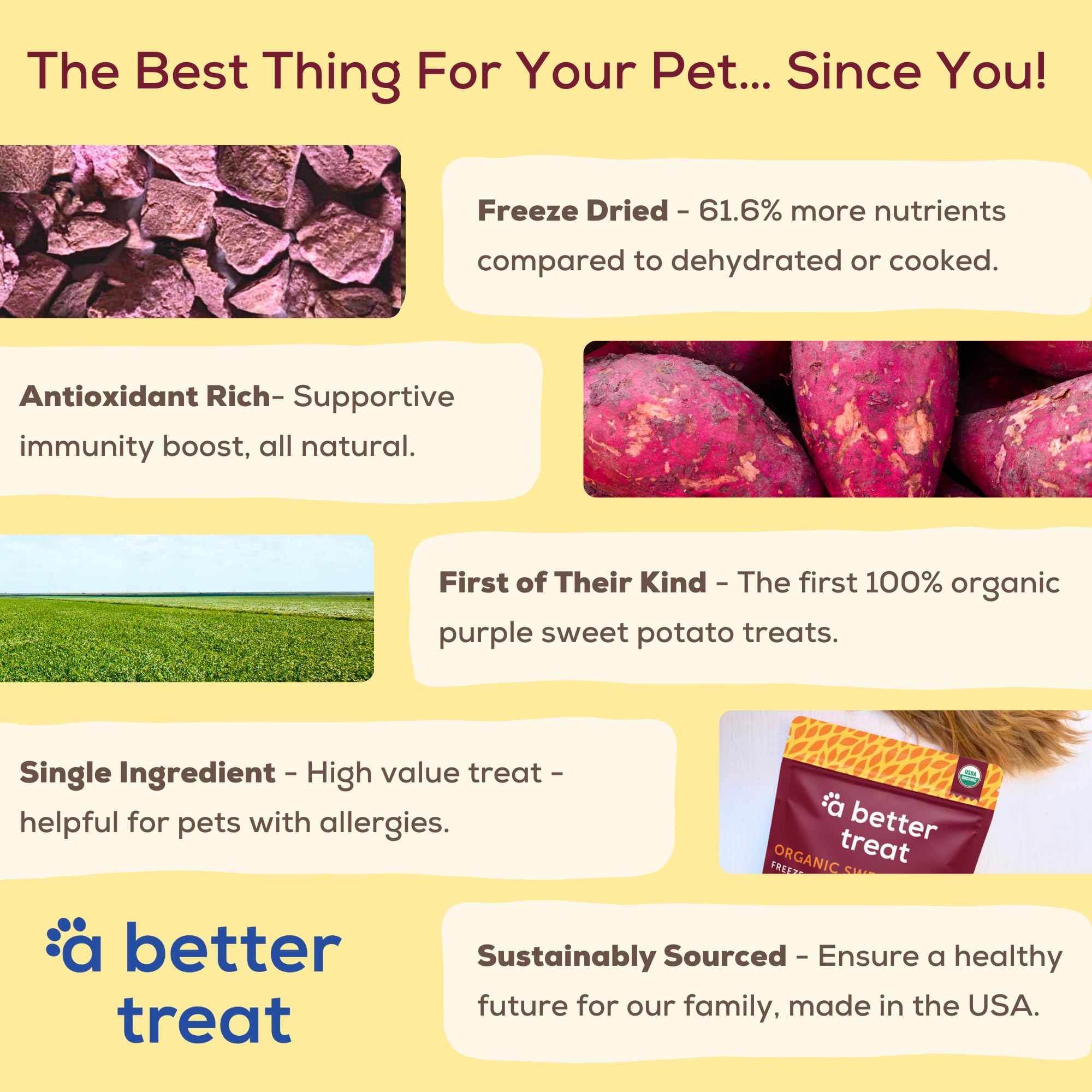 A Better Treat - Freeze Dried Organic Purple Sweet Potato Dog and Cat Treats, Organic, Single Ingredient | Natural, Healthy, Dia