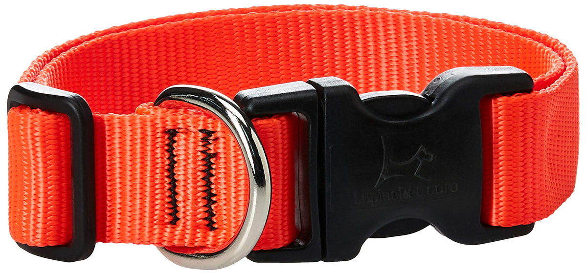 Lupinepet Basics 1' Blaze Orange 12-20' Adjustable Collar For Medium And Larger Dogs