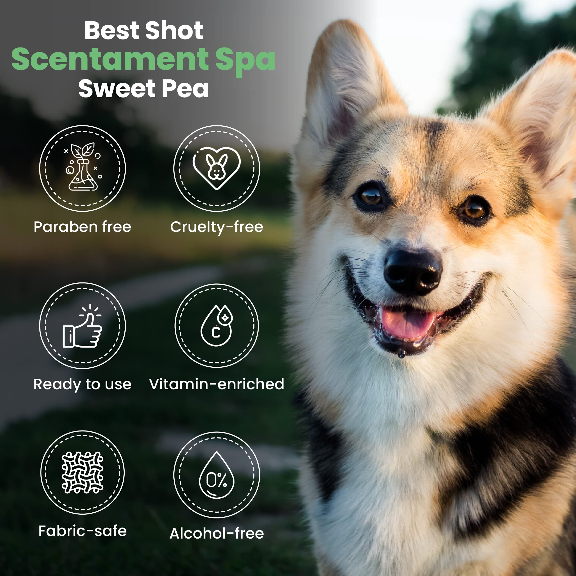 Best Shot Scentament Spa Botanical Body Spray, Body Spray Conditioner For Pets, Cat And Dog Cologne Spray, Sweet Pea, 8 Oz