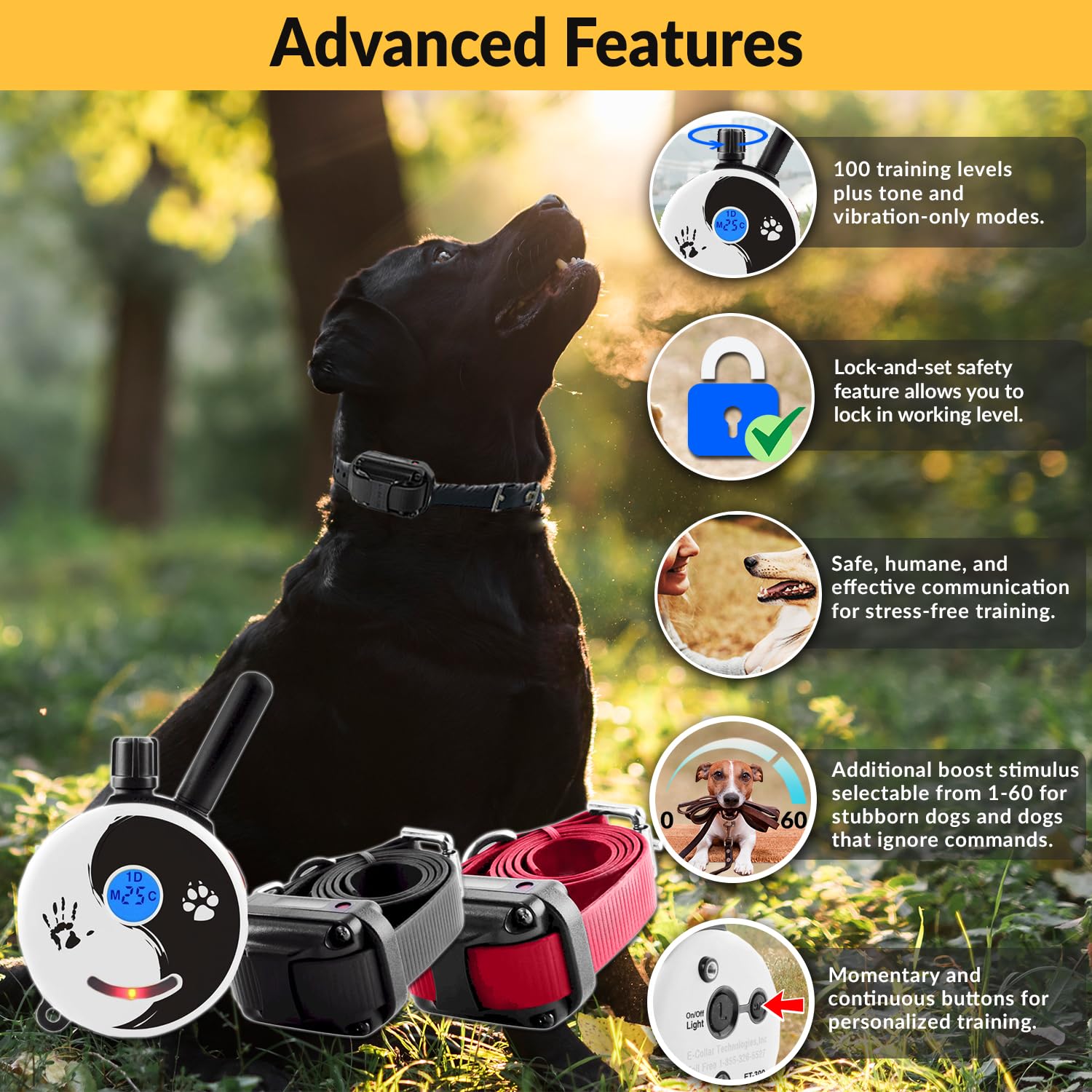 Educator E-Collar Dog Training Collar, Rechargeable Remote + Finger Clicker, For Small To Medium Dogs, Humane Tapping Stimulatio
