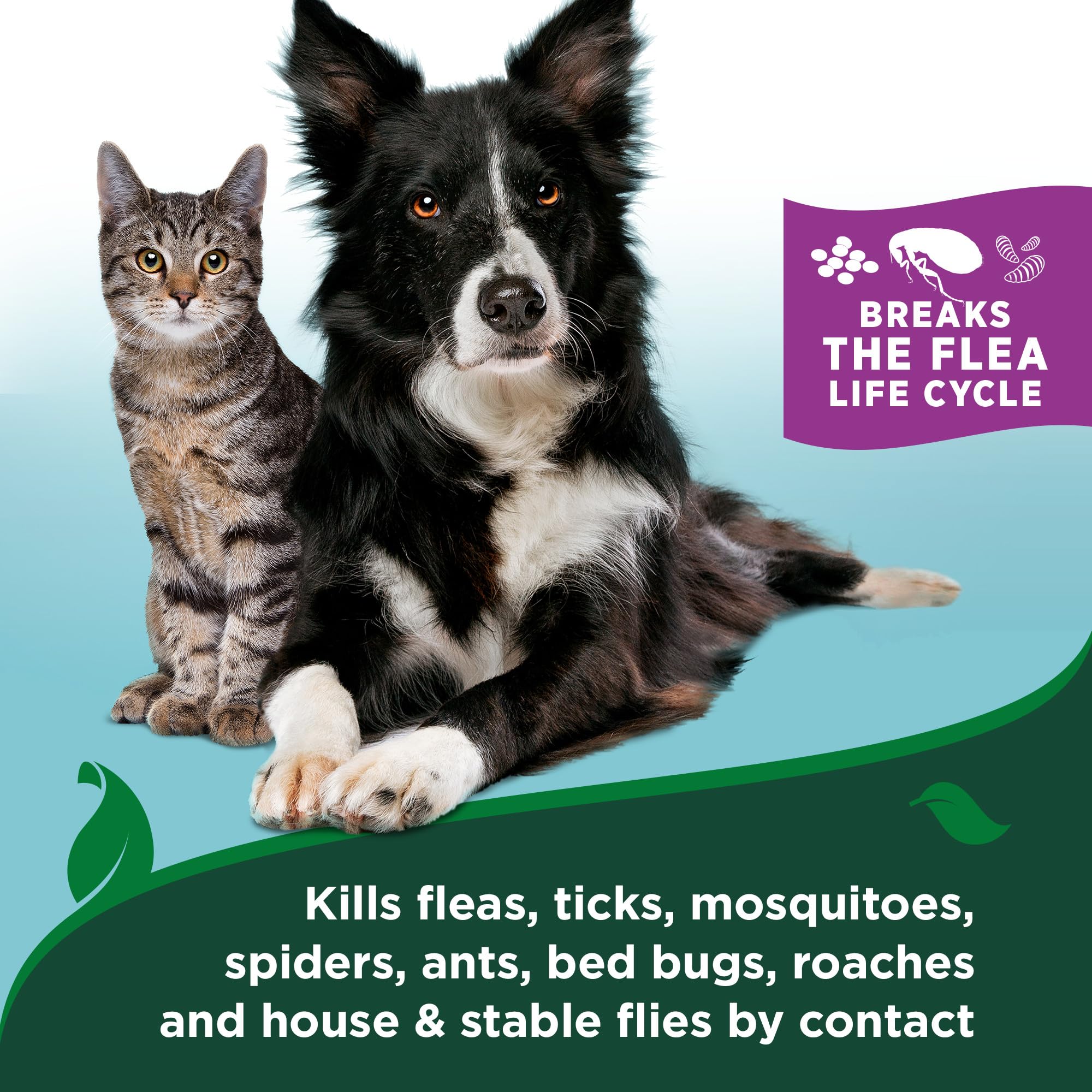 Vets Best Flea & Tick Waterless Bath for Cats - Cat Waterless Bath - Kills Fleas & Tick - Natural Flea and Tick Prevention - Ki