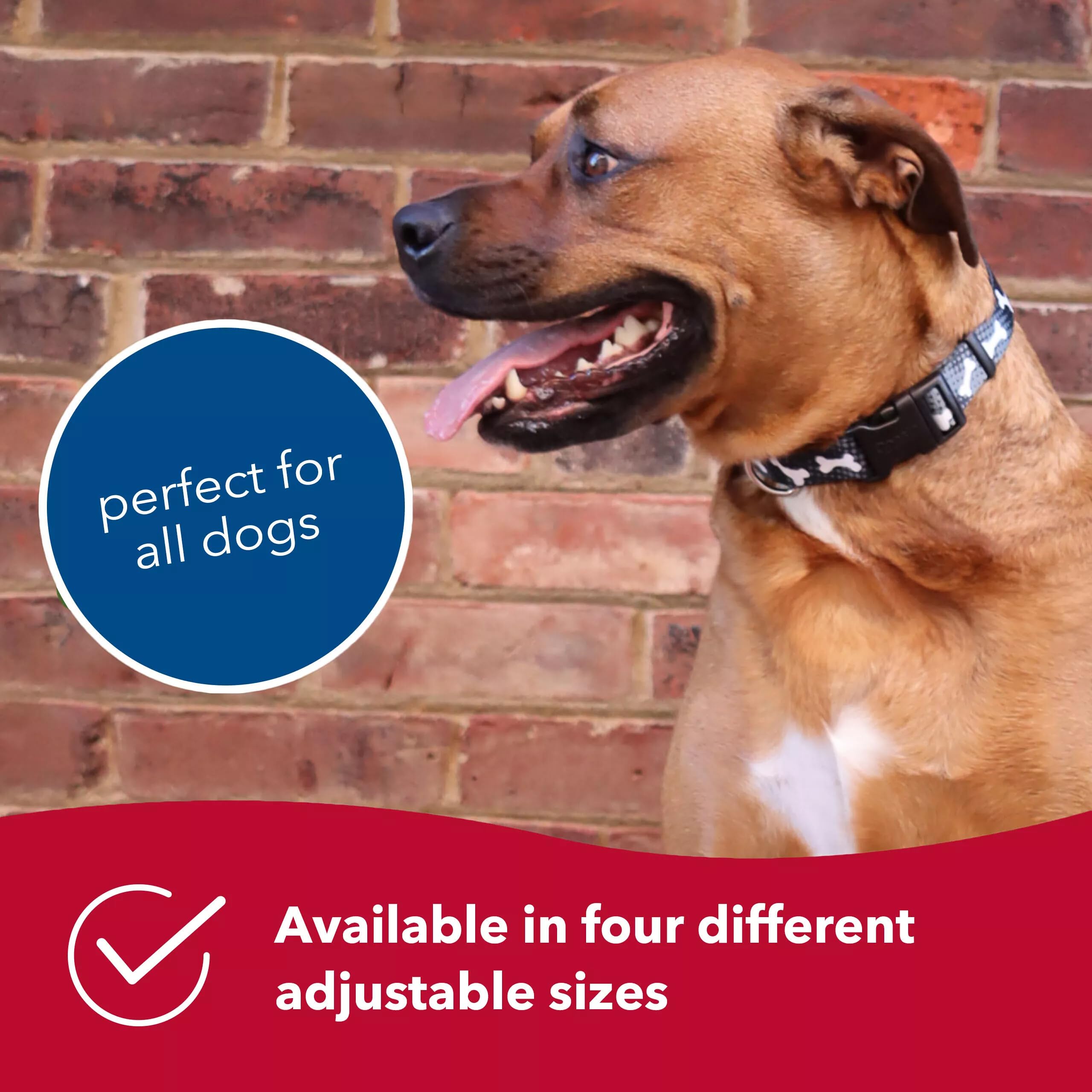 Coastal Pet Styles Adjustable Dog Collar - Stylish Patterned Fabrics - Snap-Lock Buckle - Adjustable Dog Collar - For Small, Medium Or Large Dogs - Red Bones - 3/8' X 08'-12'