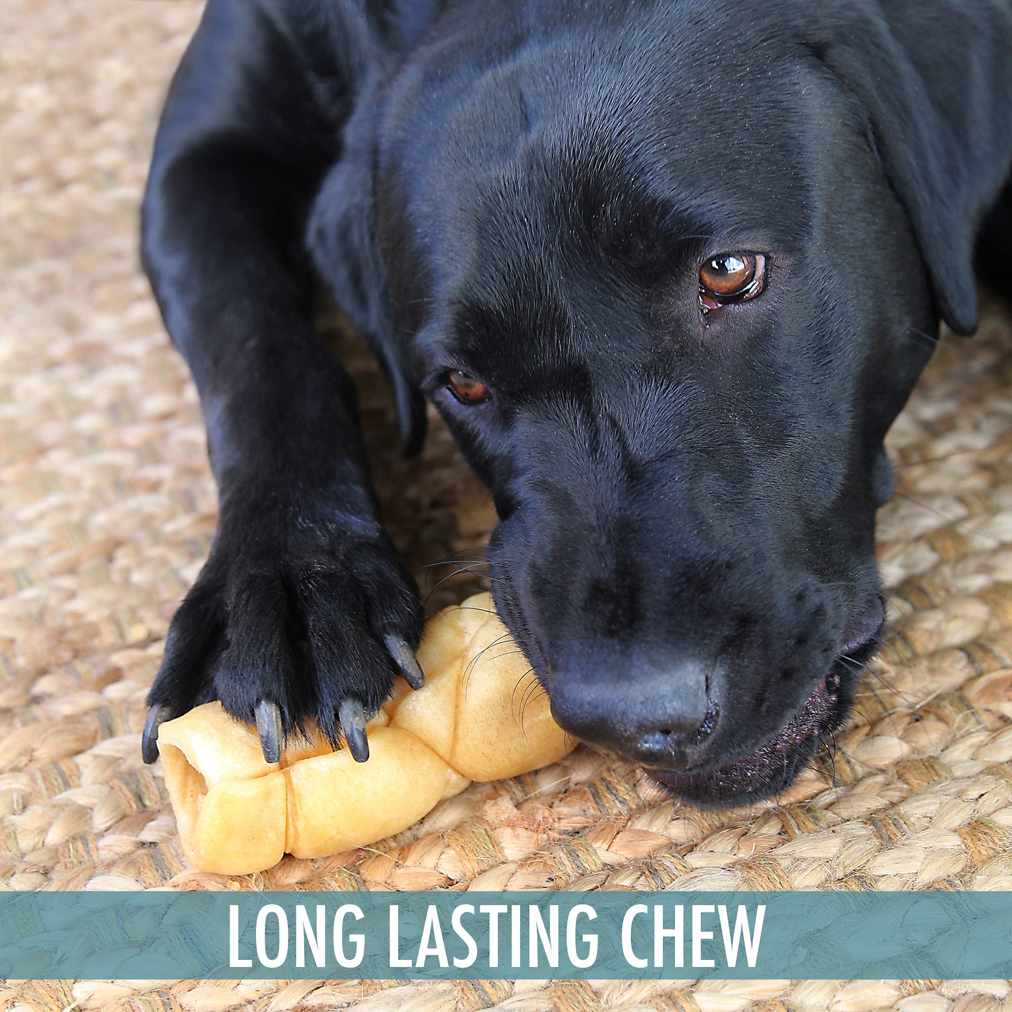 Wild Eats Water Buffalo 9 Retriever Style Cheek Roll Dog Chews-3 Pack (Long Lasting Dog Chews, Dog Treats, Dog Bones for Aggress