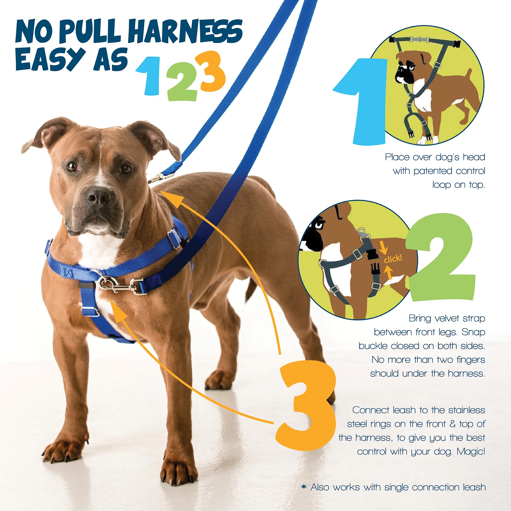 2 Hounds Design - Freedom No-Pull Harness & Training Leash In Blue And Green | Dual Leash Loops, No Pulling On Walks | Lined To