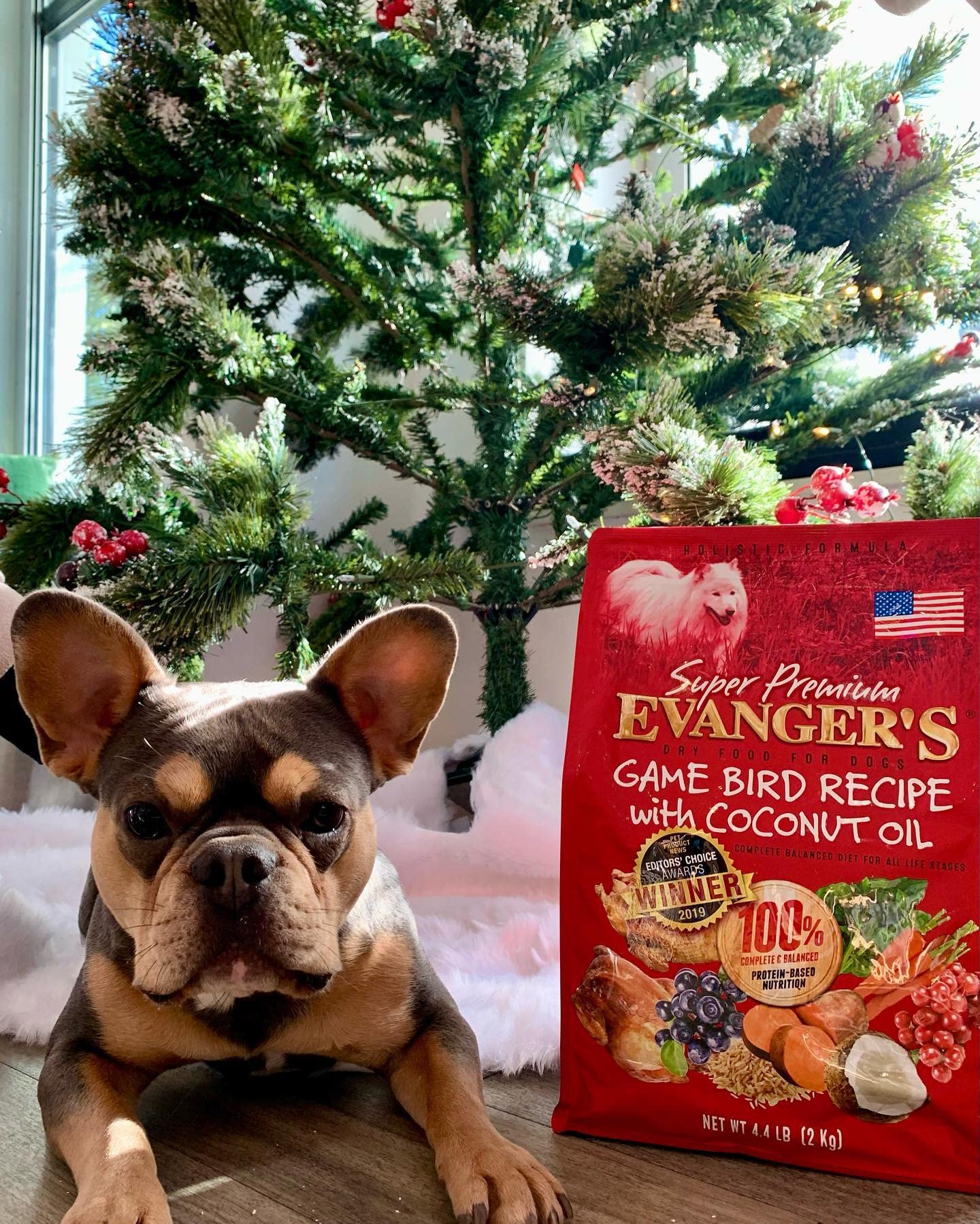 Evangers Super Gamebird Recipe with Coconut Oil Dry Dog Food - 4.4 lb Bag - Hypoallergenic Duck & Turkey Formula - Grain-Free,