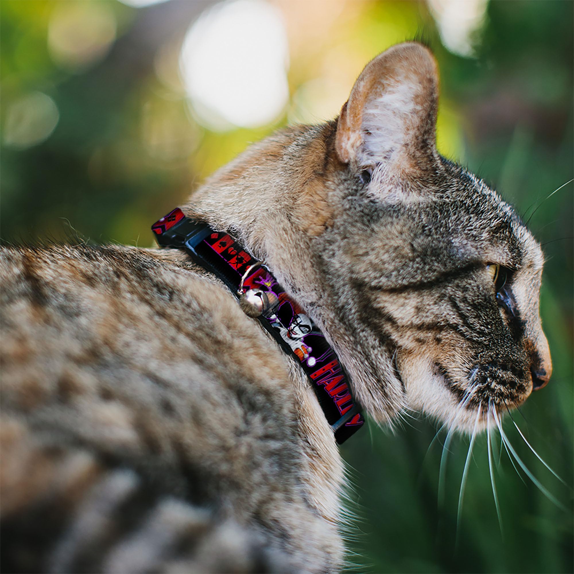 Cat Collar Breakaway Harley Quinn Bomb Poses Suits Black Purple Red 8 To 12 Inches 0.5 Inch Wide