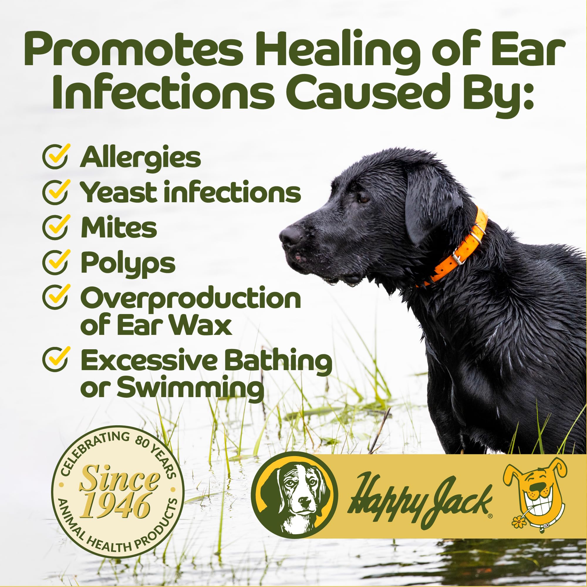 HAPPY JACK Ear Canker Powder (0.5 oz) Dog Ear Powder for Infections, Made in USA, Helps Allergies, Polyps, Overproduction of Wax
