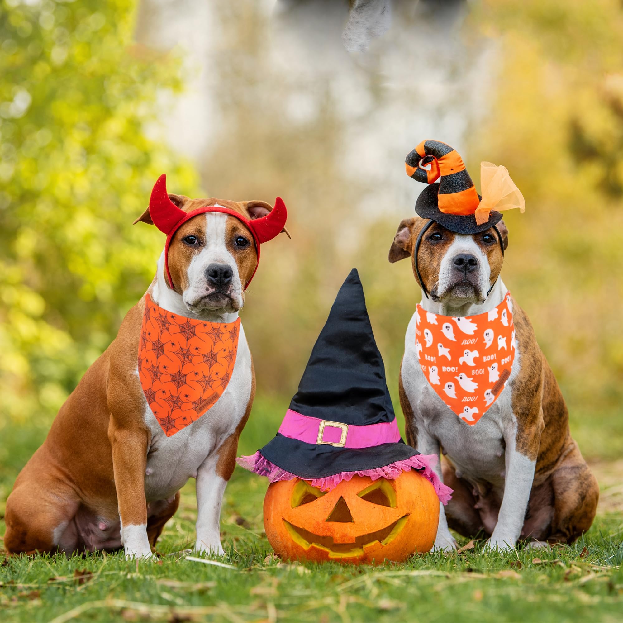 Adoggygo Halloween Dog Bandana, Spider Web Ghost Design Dog Scarf, Premium Durable Fabric, Orange Dog Halloween Bandanas For Medium Large Dogs Pets (Large, Halloween)
